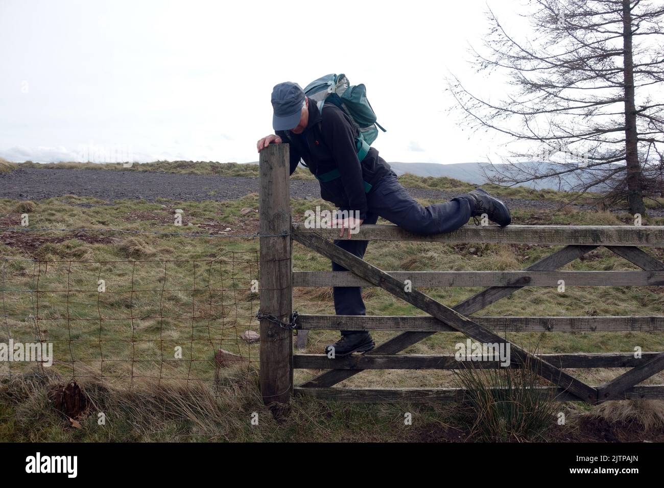 Homme âgé grimpant au-dessus de la porte de Five Bar en bois verrouillée près du Wainwright 'Gowbarrow Fell' dans le parc national de Lake District, Cumbria, Angleterre, Royaume-Uni. Banque D'Images