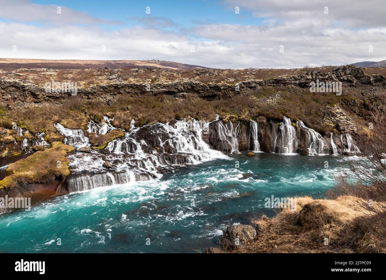 Hraunfossar, chutes d'eau s'écoulant sur un champ de lave, près de Húsafell, dans l'ouest de l'Islande. Banque D'Images