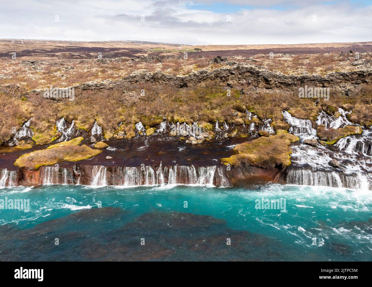 Hraunfossar, chutes d'eau s'écoulant sur un champ de lave, près de Húsafell, dans l'ouest de l'Islande. Banque D'Images
