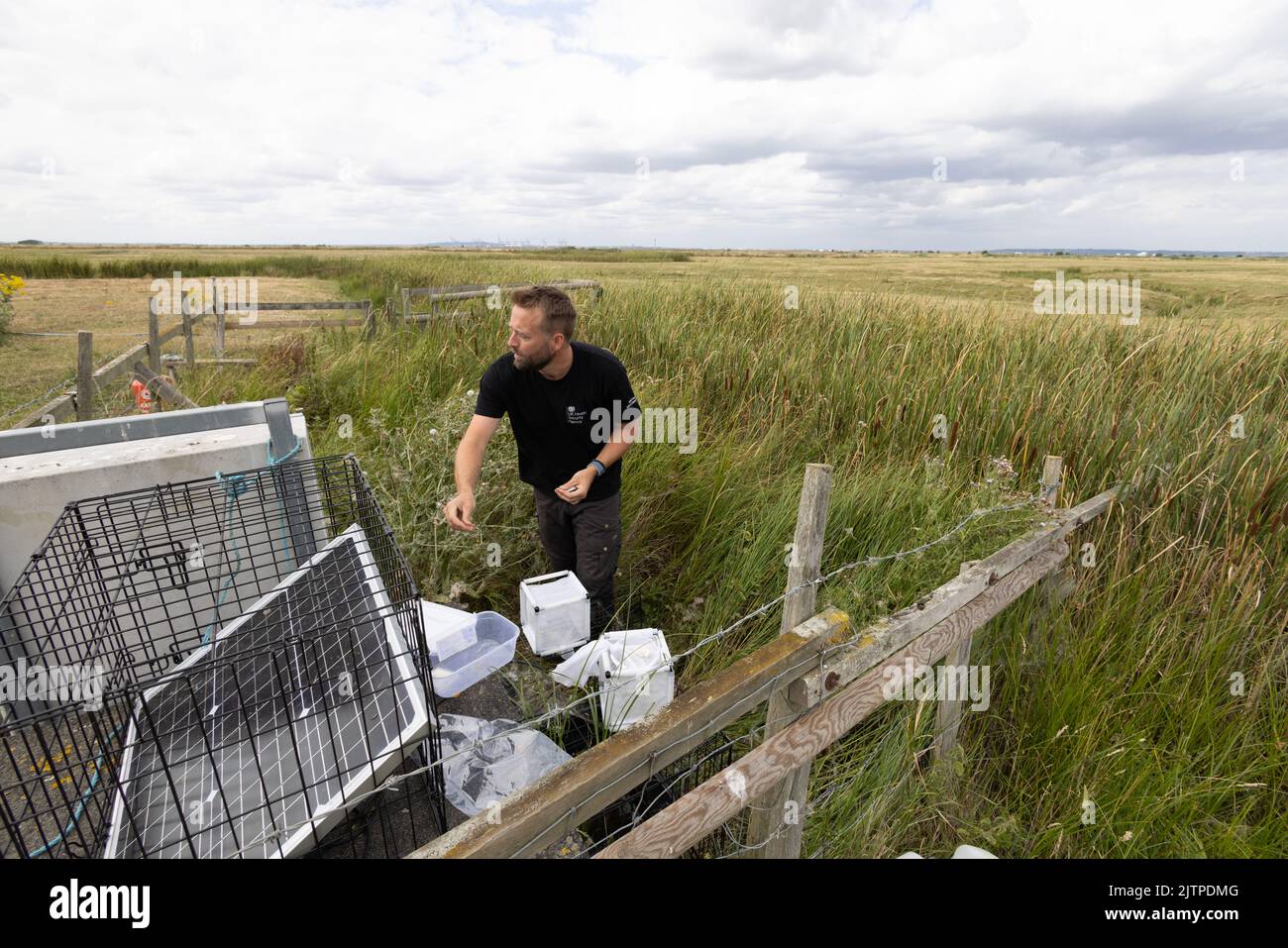 Les scientifiques de l'Agence de sécurité sanitaire du Royaume-Uni (UKHSA) recherchent une nouvelle vague de paludisme dans le Kent en Grande-Bretagne en mettant en place des pièges électroniques à moustiques. Banque D'Images