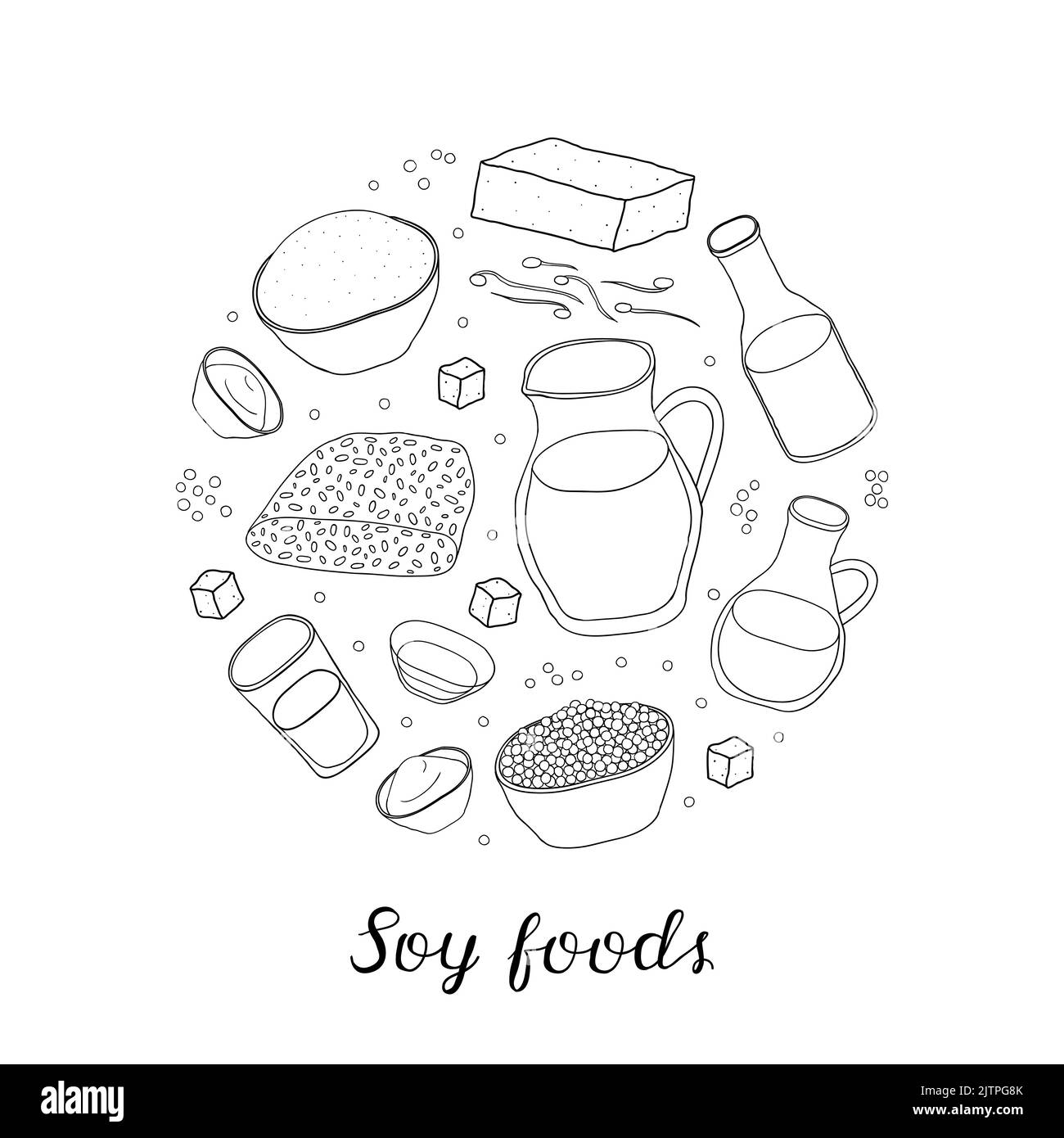 Dessin à la main des aliments de soja en forme de cercle. Sauce soja, huile, lait, farine, pousses, pâte miso, soja, tempeh. Concept de régime alimentaire sain. Illustration de Vecteur