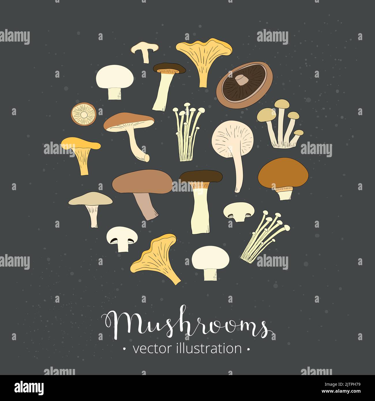 Différents champignons dessinés à la main composés en forme de cercle isolés sur fond blanc. Illustration de Vecteur