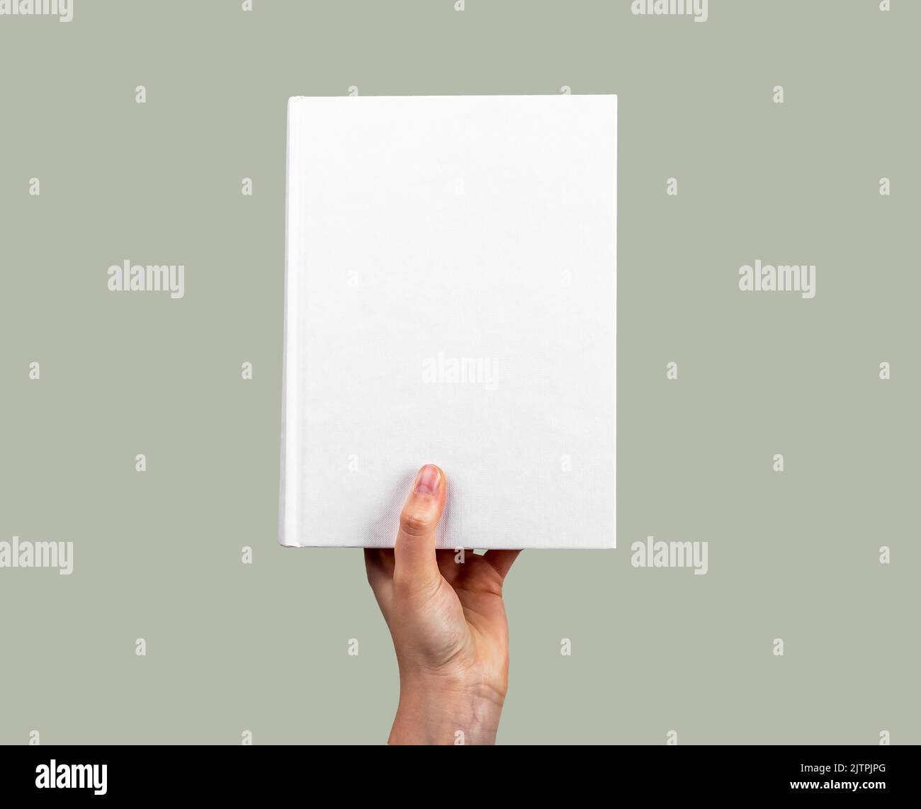 Main tenant fermé maquette de livre avec couverture blanche. Roman, encyclopédie, code, modèle de Bible. Lecture passe-temps, étude, apprentissage nouveau concept d'information. H Banque D'Images