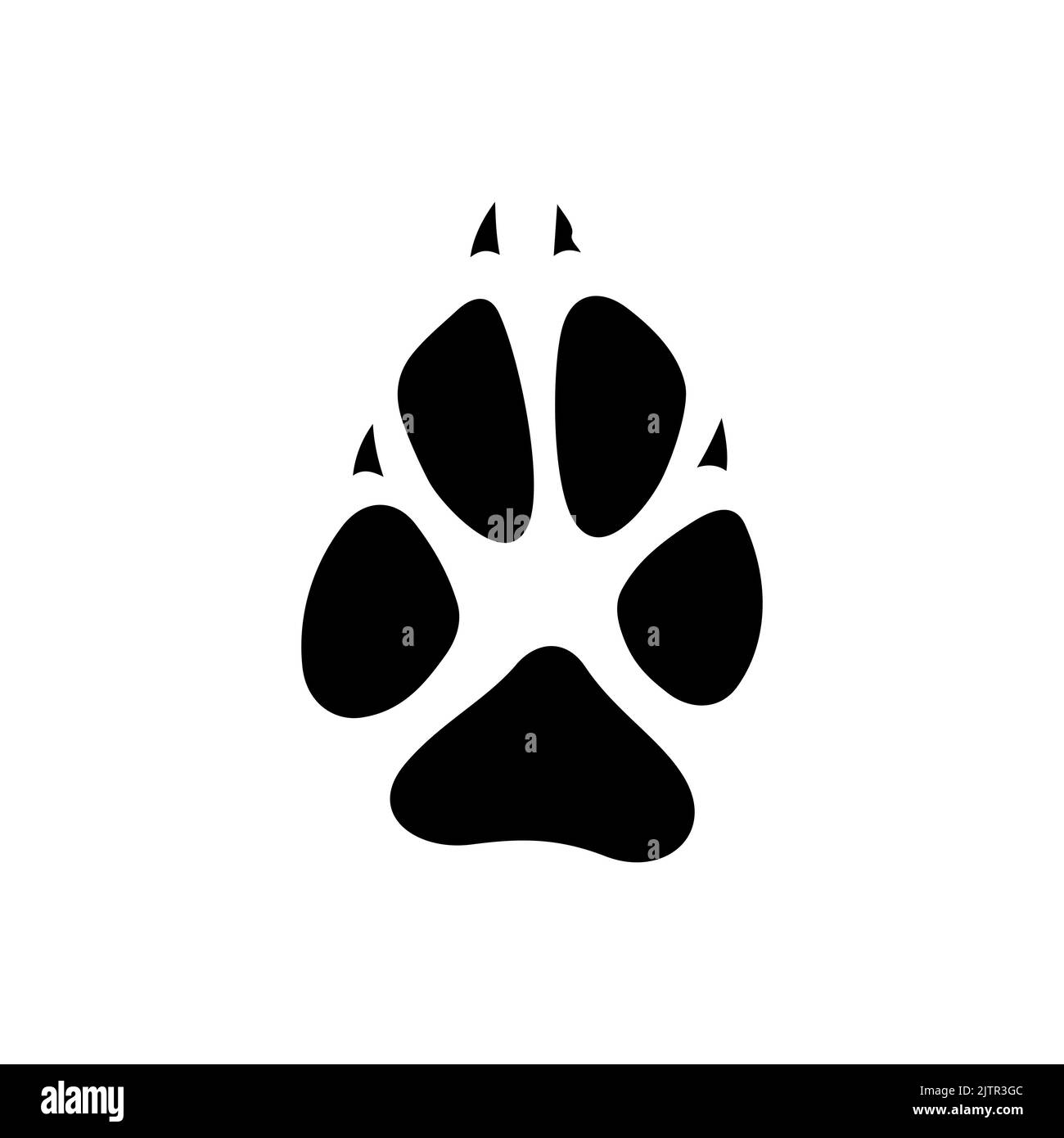 Jaguar, tigre ou lion animaux sauvages pied de chat avec griffes ou clous isolé silhouette icône noire. Vecteur savane animaux marche sur le sol dans la boue, emblème du sport de chasse. Empreintes d'animaux de renard sauvage Illustration de Vecteur