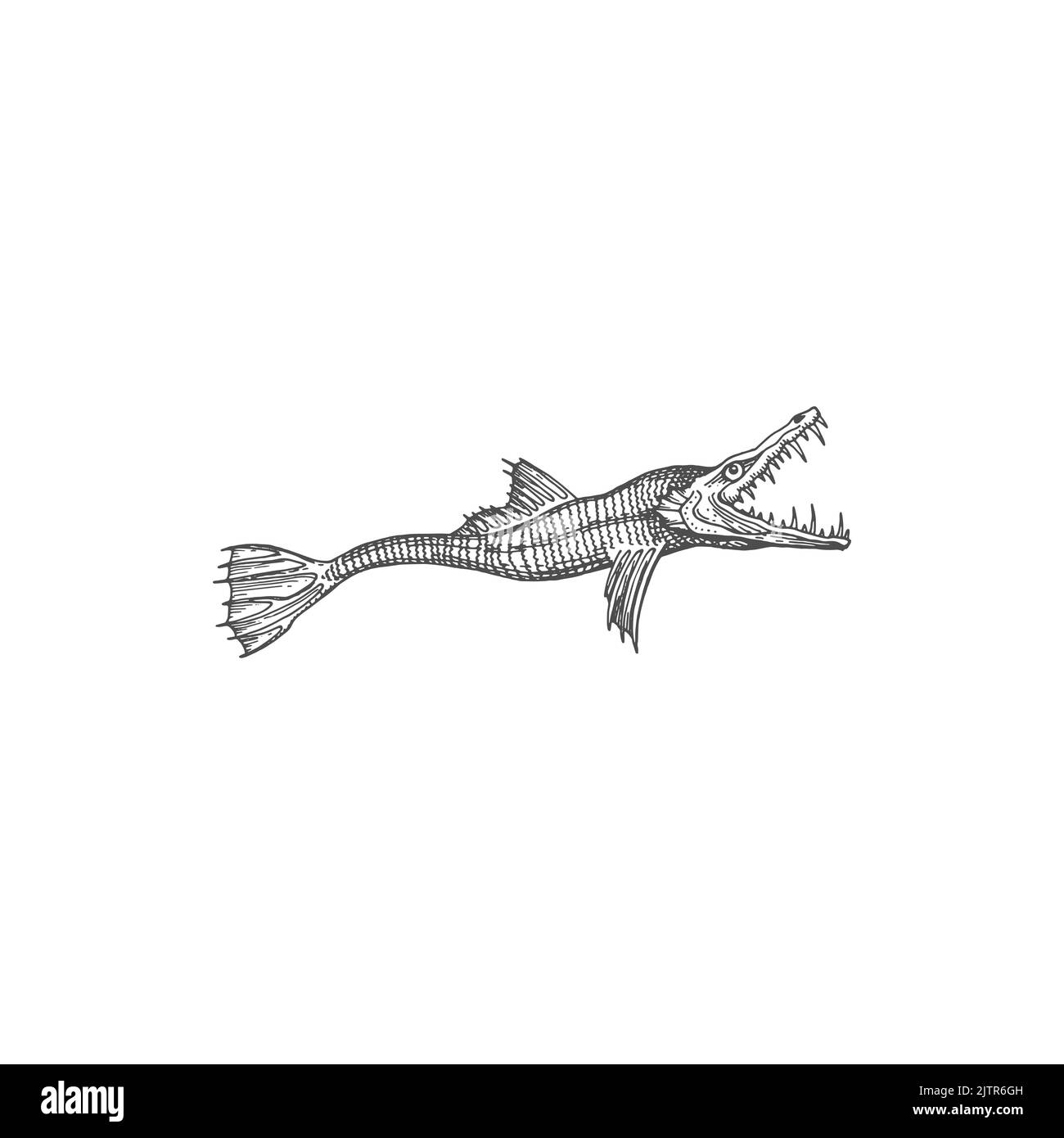 Une énorme créature de mer Cetus ou un monstre de mer isolé poisson géant avec mâchoires icône d'esquisse monochrome. Serpent de mer vectoriel, animal léviathan, ancienne bête sous-marine. Poissons marins fantasy géant vivant en profondeur Illustration de Vecteur