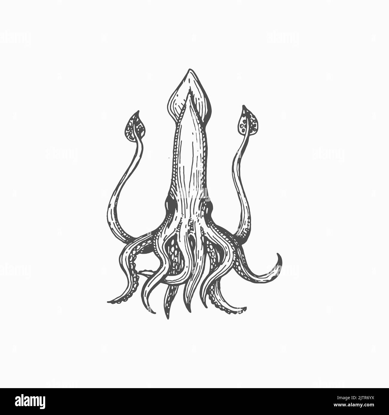 Icône d'esquisse monochrome isolée de squid accroché. Fruits de mer vectoriels, créature marine brute ou cuite de l'organisme de mer calmar. Calmar avec huit bras et deux tentacules, mascotte aquatique pour animaux sous-marins Illustration de Vecteur
