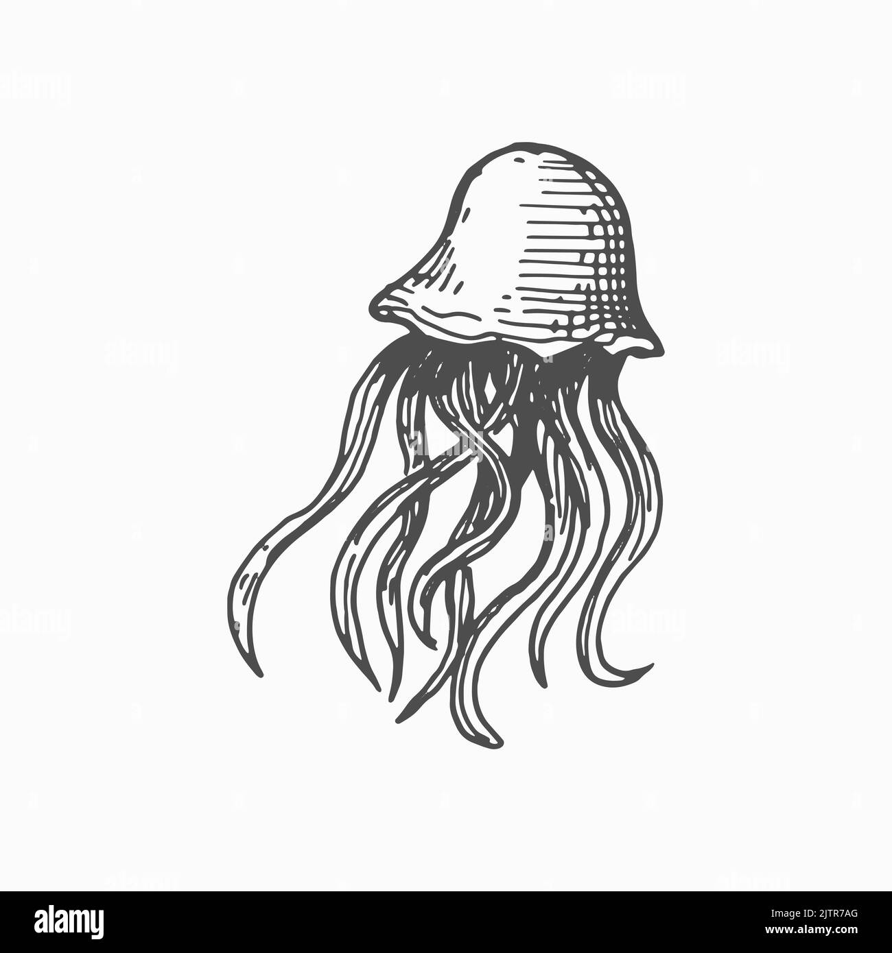 Icône d'esquisse monochrome de créature marine isolée de méduse dessinée à la main. Vecteur animal sous-marin, eaux profondes de l'océan caractère marin. Natation mari Illustration de Vecteur