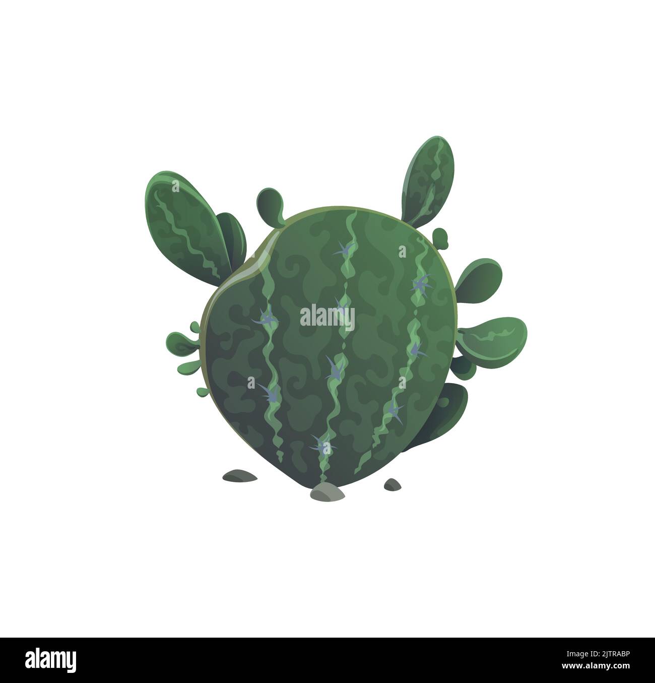 Cactus vert exotique plante du siècle et rochers pierres sur sol icône de dessin animé isolée. Vecteur magüey ou aloès américain fleur succulente. Opuntia chlorotica Cactaceae, poire piqueuse, flappon Illustration de Vecteur
