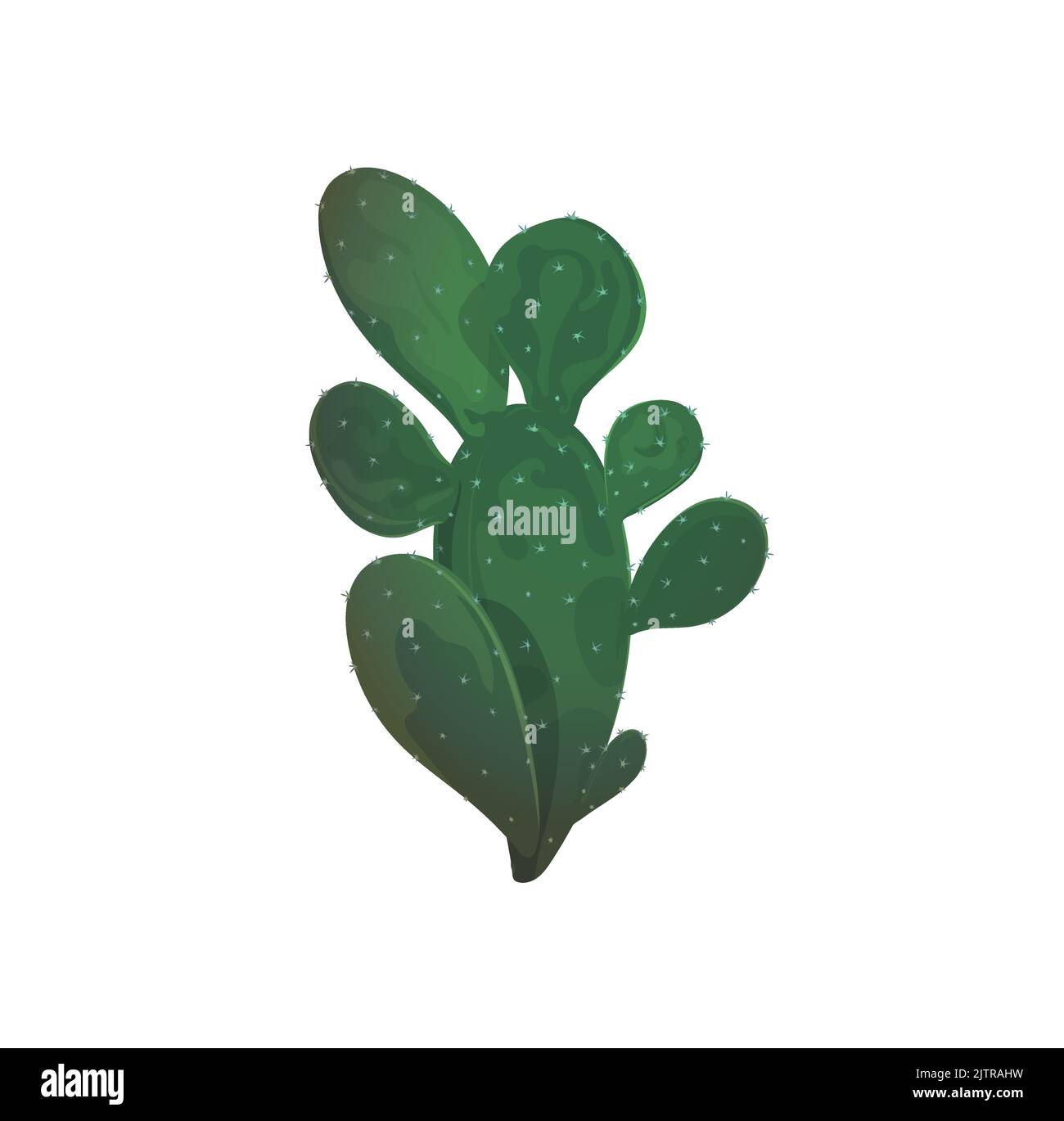 Cactus plante mexicaine, désert exotique verdure décoration isolée. Cactus botaniques vectoriels avec pointes, fleur succulente américaine. Opuntia dessin animé cactus, flappon et poire piqueuse Illustration de Vecteur