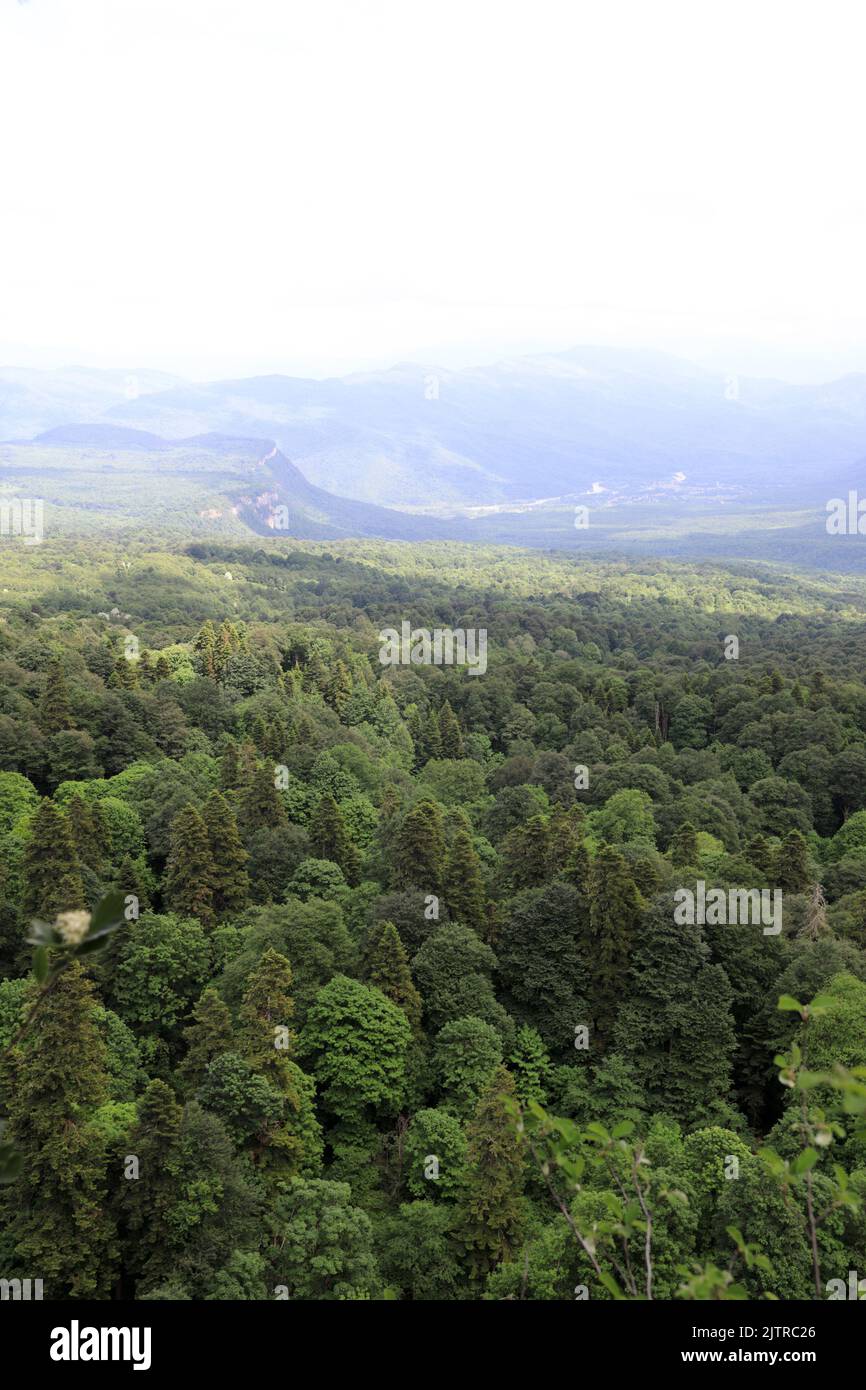Horizon de la crête d'Azish-Tau en été, Adygea Banque D'Images