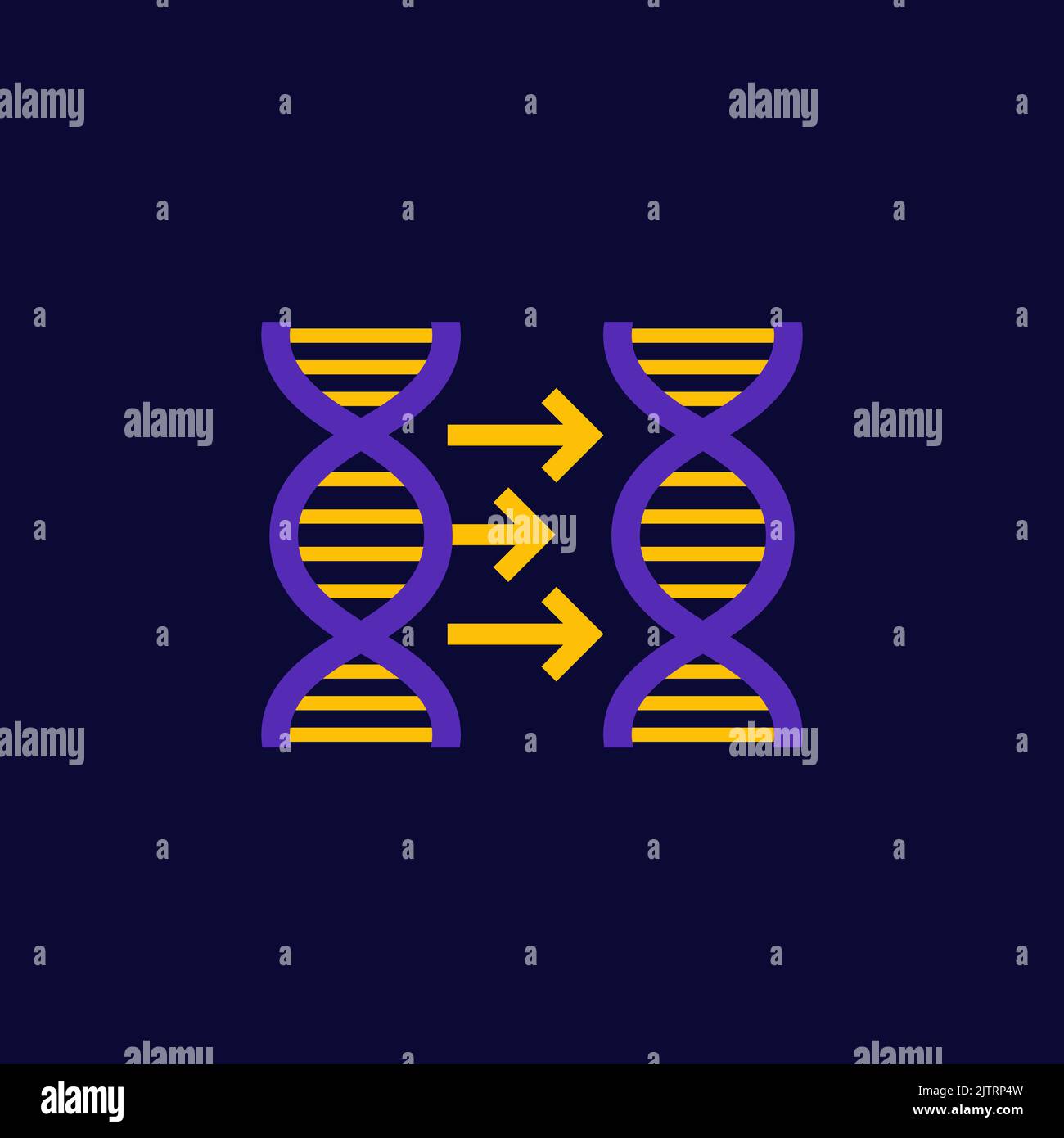 Réplication de l'ADN, icône du vecteur génétique Illustration de Vecteur