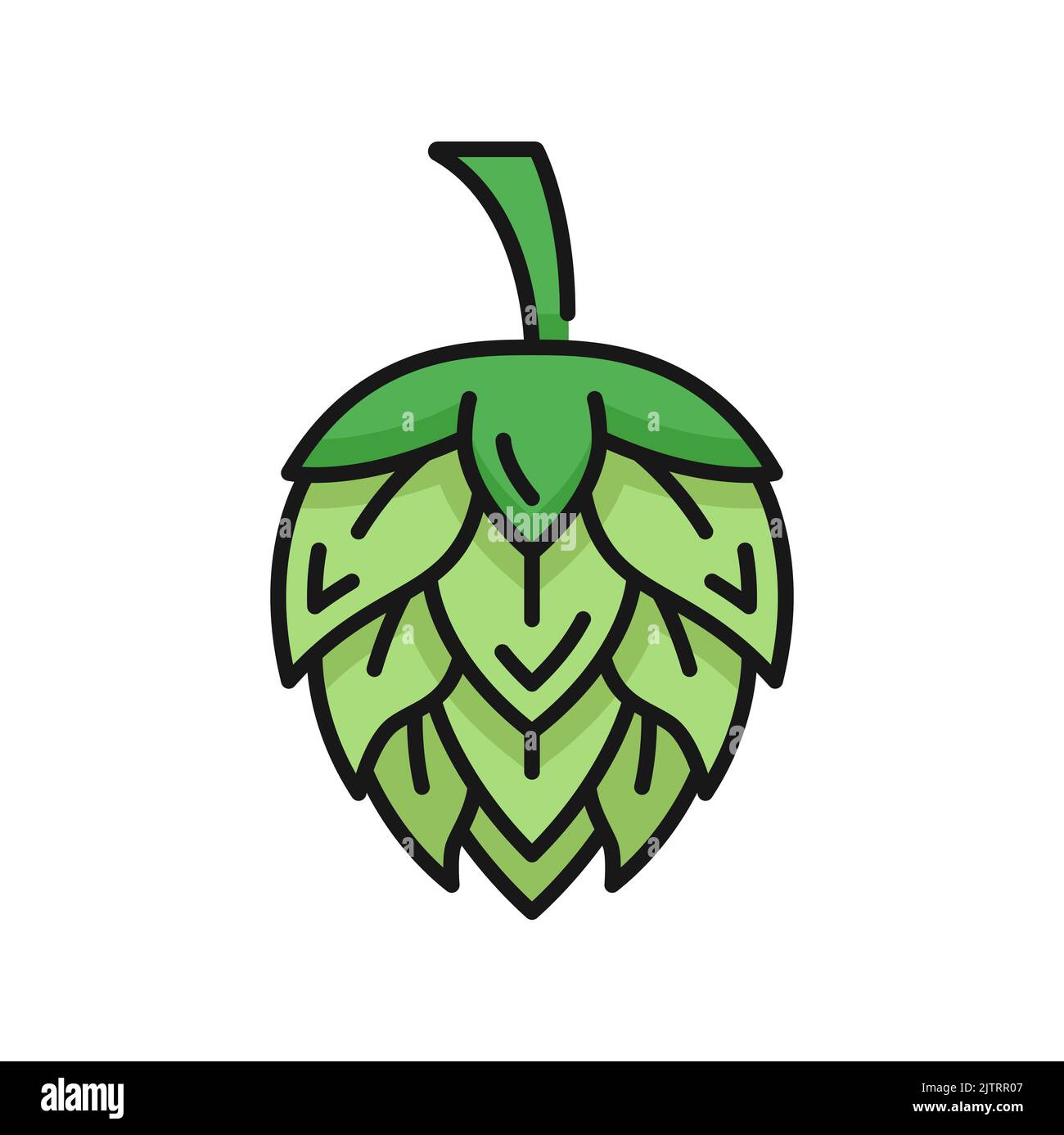 Fleur d'espoir plante isolée bière ingrédient couleur icône de contour. Vector produit de l'industrie brassicole allemande. Humulus plante florale, cônes de médecine à base de plantes Illustration de Vecteur
