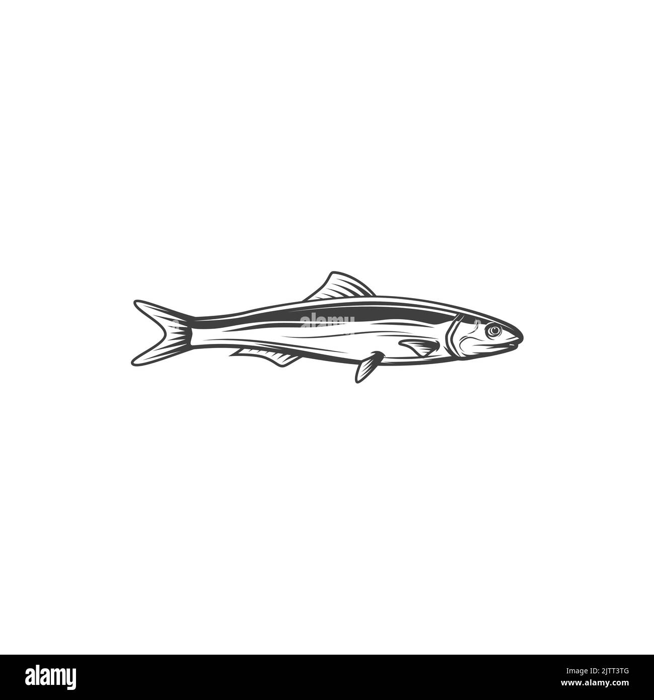 Harengs ou sardine poisson d'eau salée isolé animal icône monochrome. Vecteur pilchard fourrager gras petits poissons dans le hareng Clupeidae. Sardina, rouge marin Illustration de Vecteur