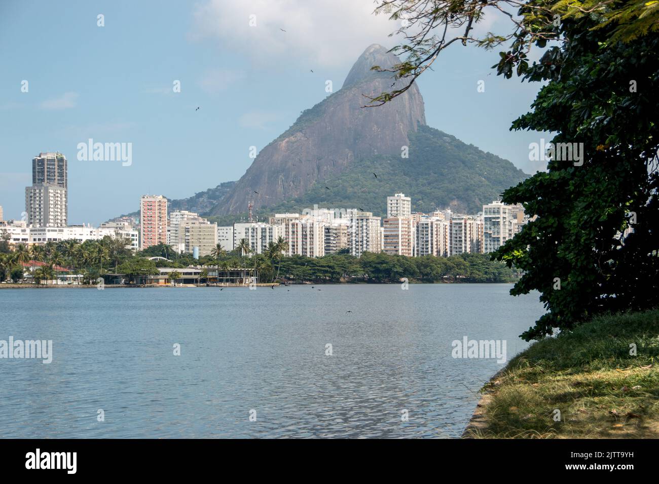 vue sur le lagon rodrigo de freitas à rio de janeiro, brésil. Banque D'Images