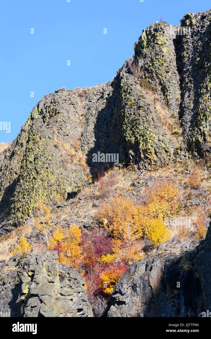 Falaises de basalte aux couleurs de l'automne et ciel bleu dans le centre de l'État de Washington Banque D'Images