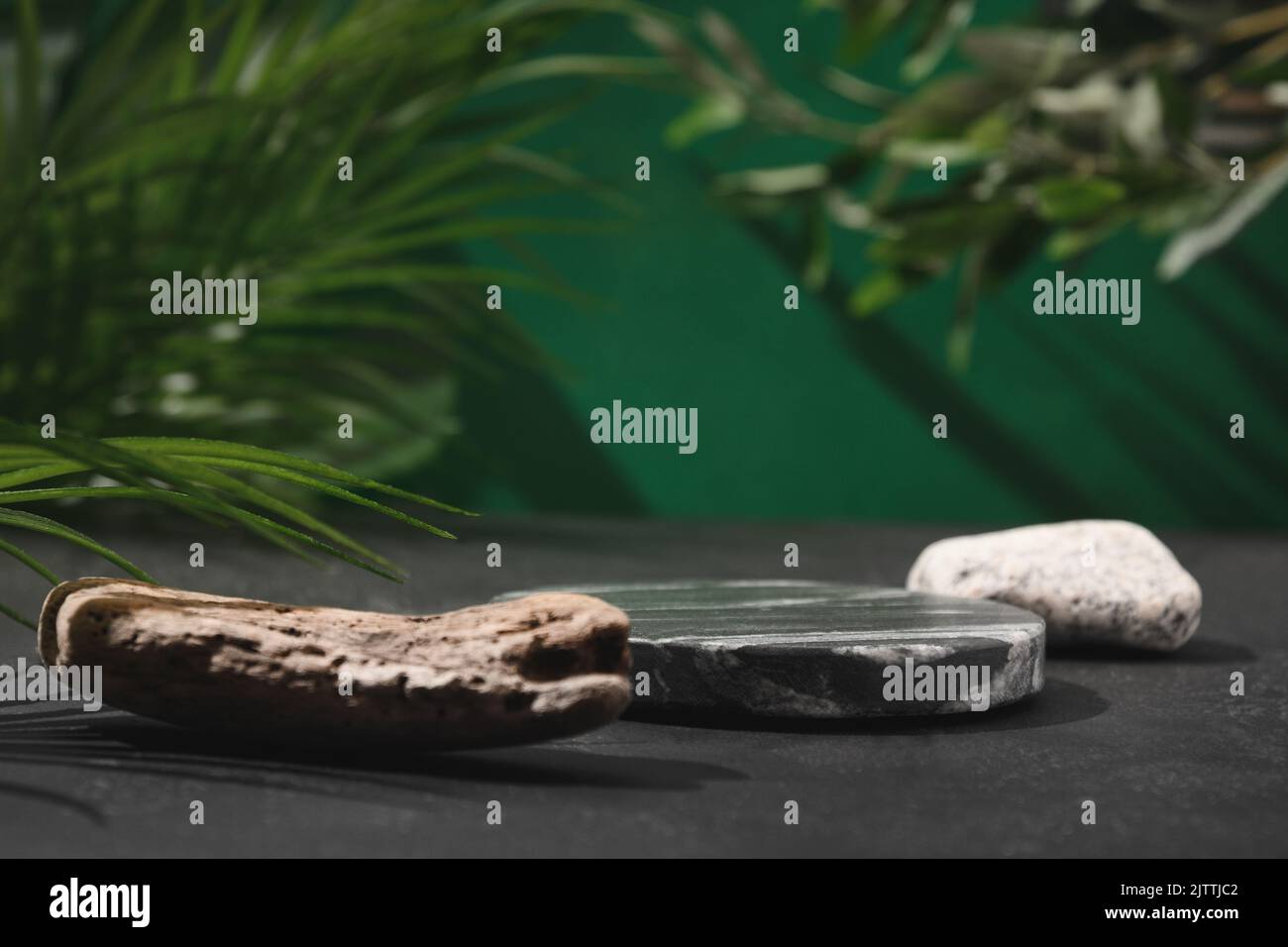 Composition avec podium de pierre naturelle, support en marbre et feuilles tropicales pour concevoir vos produits . Vue latérale. Banque D'Images