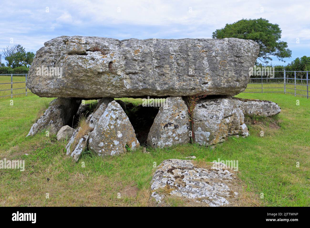 Chambre de sépulture néolithique de Lligwy près de Moelfre, île d'Anglesey, Ynys mon, pays de Galles du Nord, Royaume-Uni. Banque D'Images