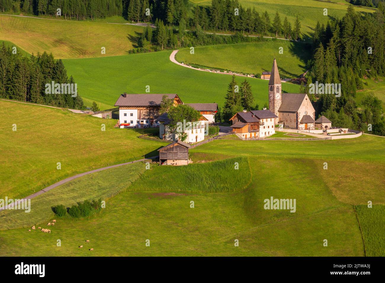 Village de Saint-Magdalena avec église et moutons à Val di Funes, Dolomites, Italie Banque D'Images