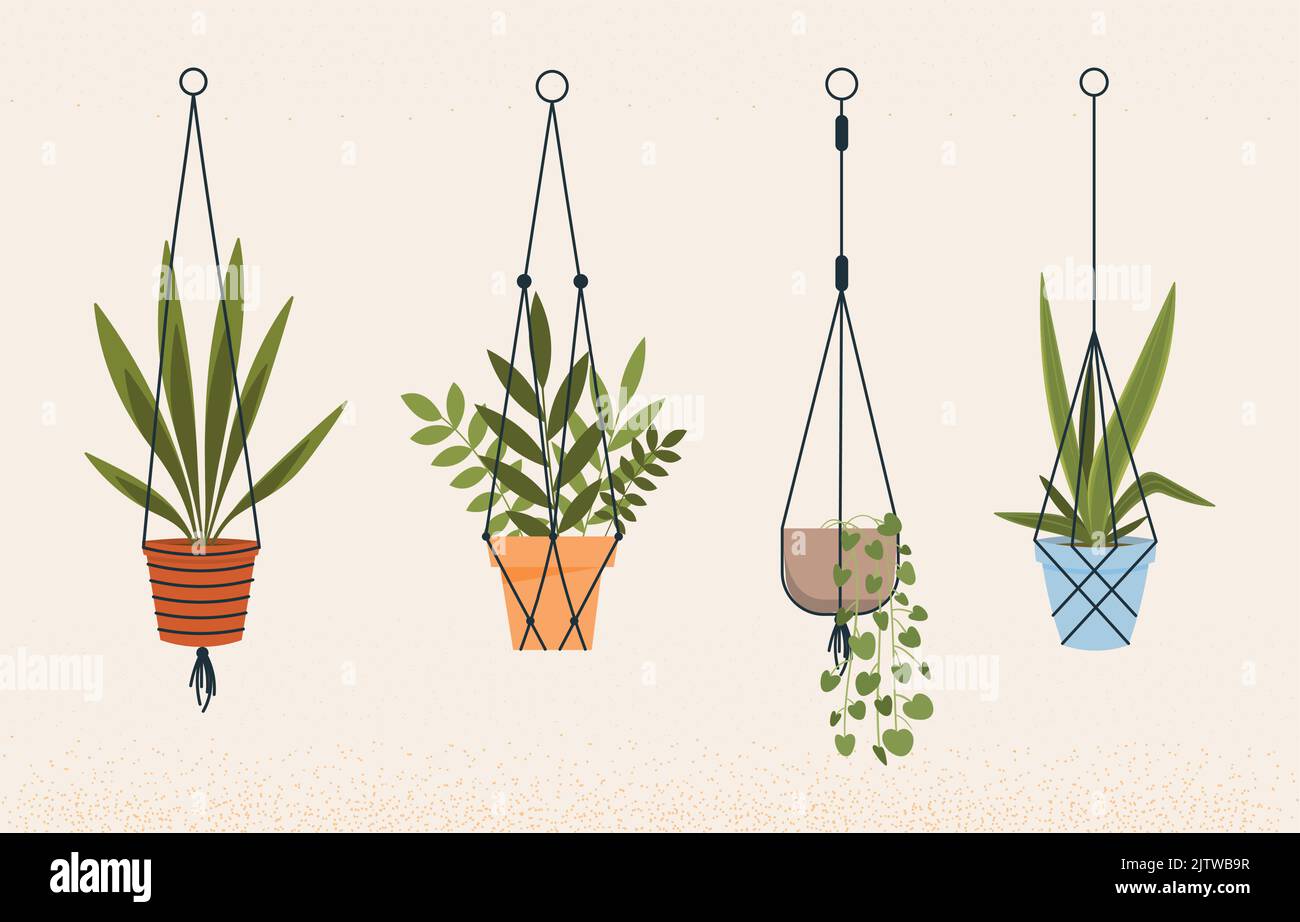 Ensemble de plantes Illustration de Vecteur