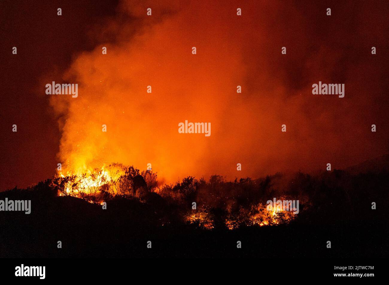 Boleagh, West Cork, Irlande. 1st septembre 2022. Un grand feu de gorge s'est empare de la campagne jeudi soir à Boleagh, entre Ballydehob et Bantry, dans l'ouest de Cork. Le front d'incendie était de quelques kilomètres de large et les pompiers de Schull et Bantry ont été chargés de combattre le feu. On ne sait pas comment l'incendie a commencé. Crédit : AG News/Alay Live News Banque D'Images