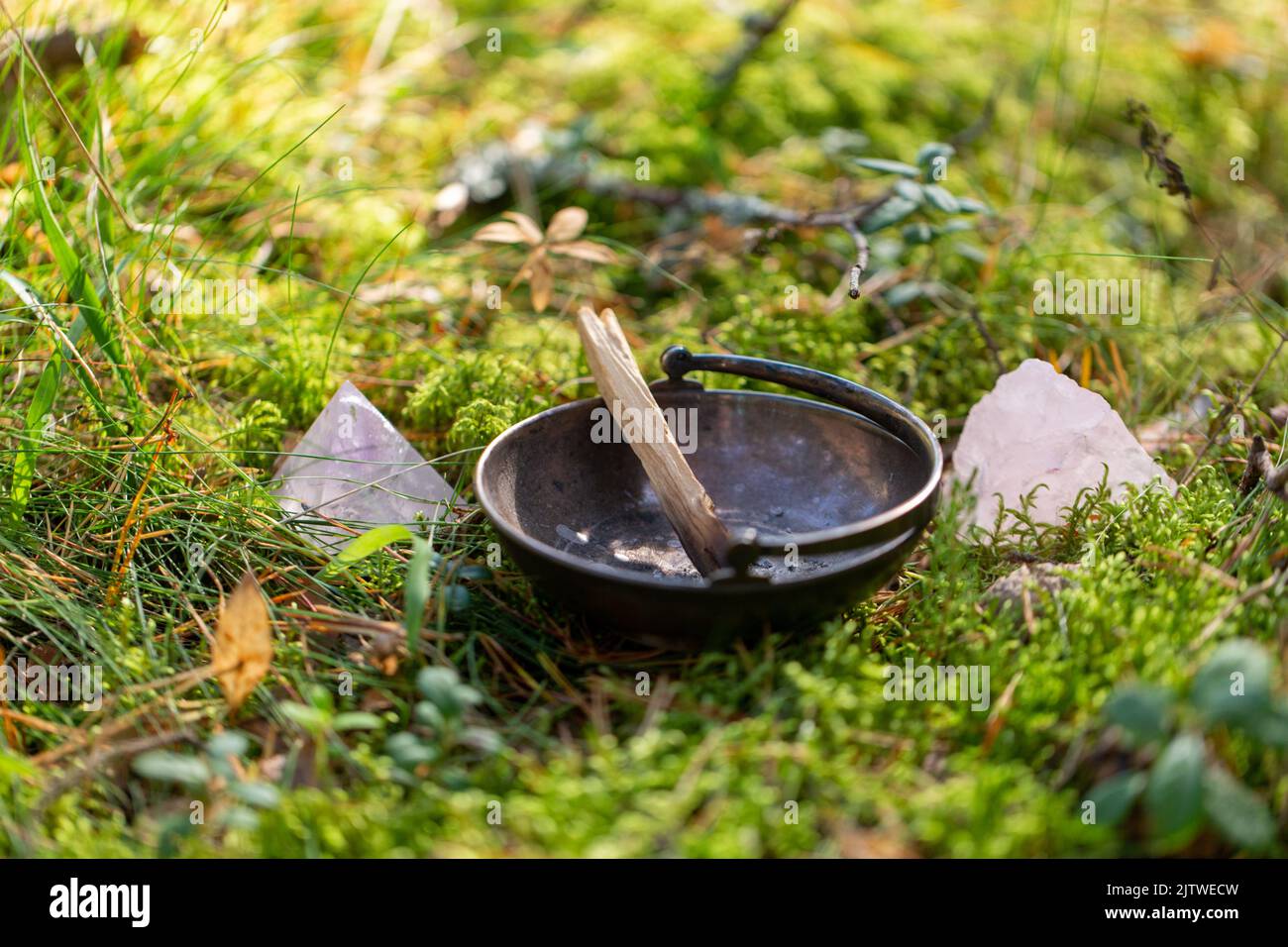 palo santo stick dans la tasse et cristal dans la forêt Banque D'Images