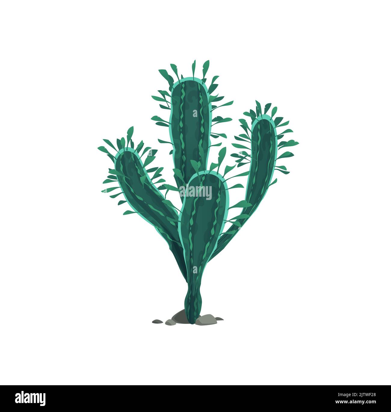 Opuntia chlorotica Cactaceae, crêpe, flappon et poire pirickée icône de dessin animé isolée. Plante botanique vecteur avec des pointes, plante exotique siècle, magouey ou fleur succulente d'aloès américain Illustration de Vecteur