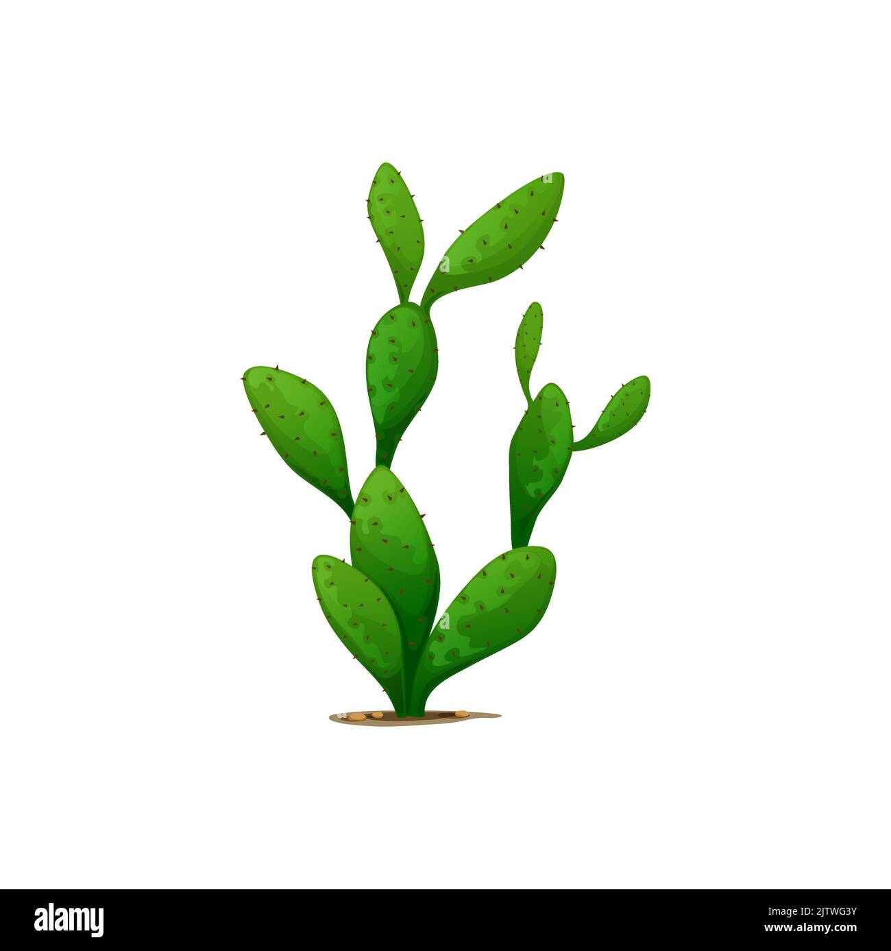 Cactus Mexicain isolé opuntia dessin animé cactus, flappon cularjoint cactus pontieux pontieux. Vector exotique désert de verdure décoration, fleurs de cactus botaniques avec des pointes Illustration de Vecteur