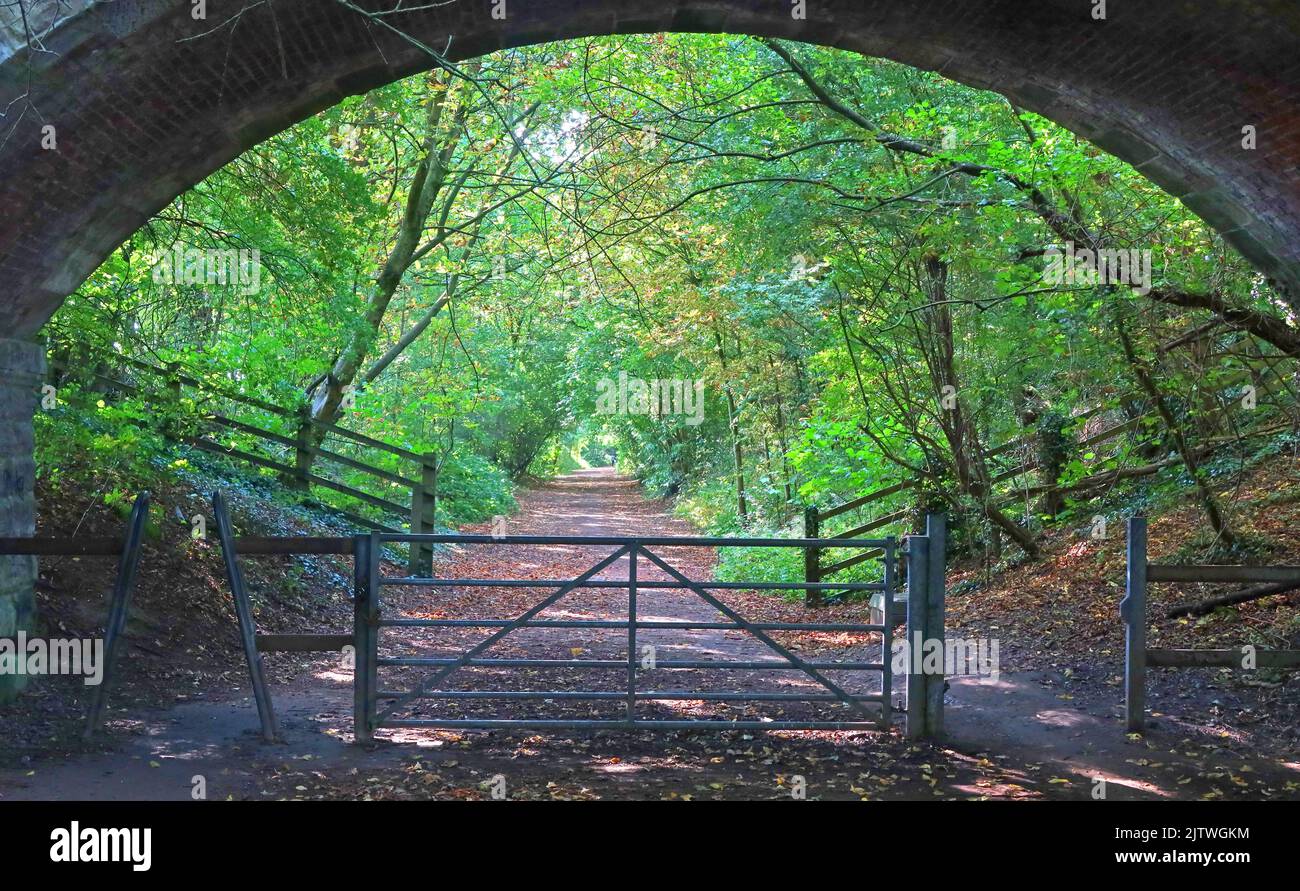 Le sentier TRANS-pennine (TPT) entre Grappenhall et Thelwall, l'ancienne ligne de chemin de fer Cheshire entre Warrington et Altrincham, dans le nord-ouest de l'Angleterre Banque D'Images