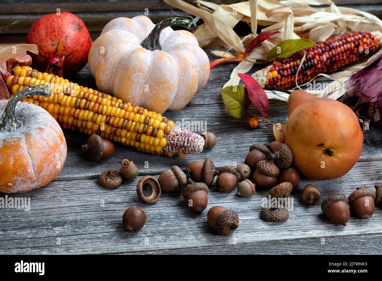 Récolte d'automne contexte des gourdes, du maïs, des glands et des fruits sur table en bois Banque D'Images