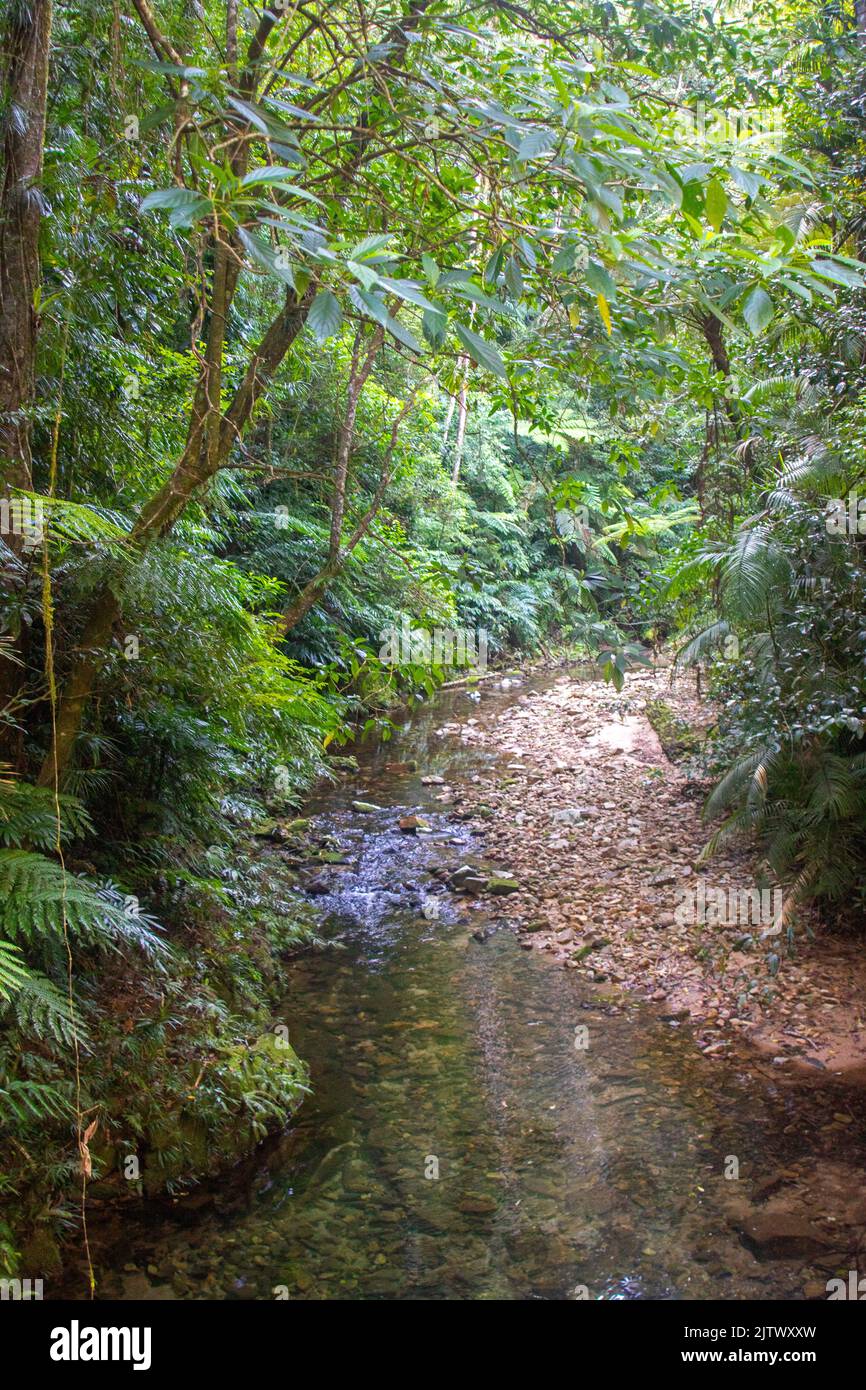 Birthday Creek, parc national de Paluma Range Banque D'Images