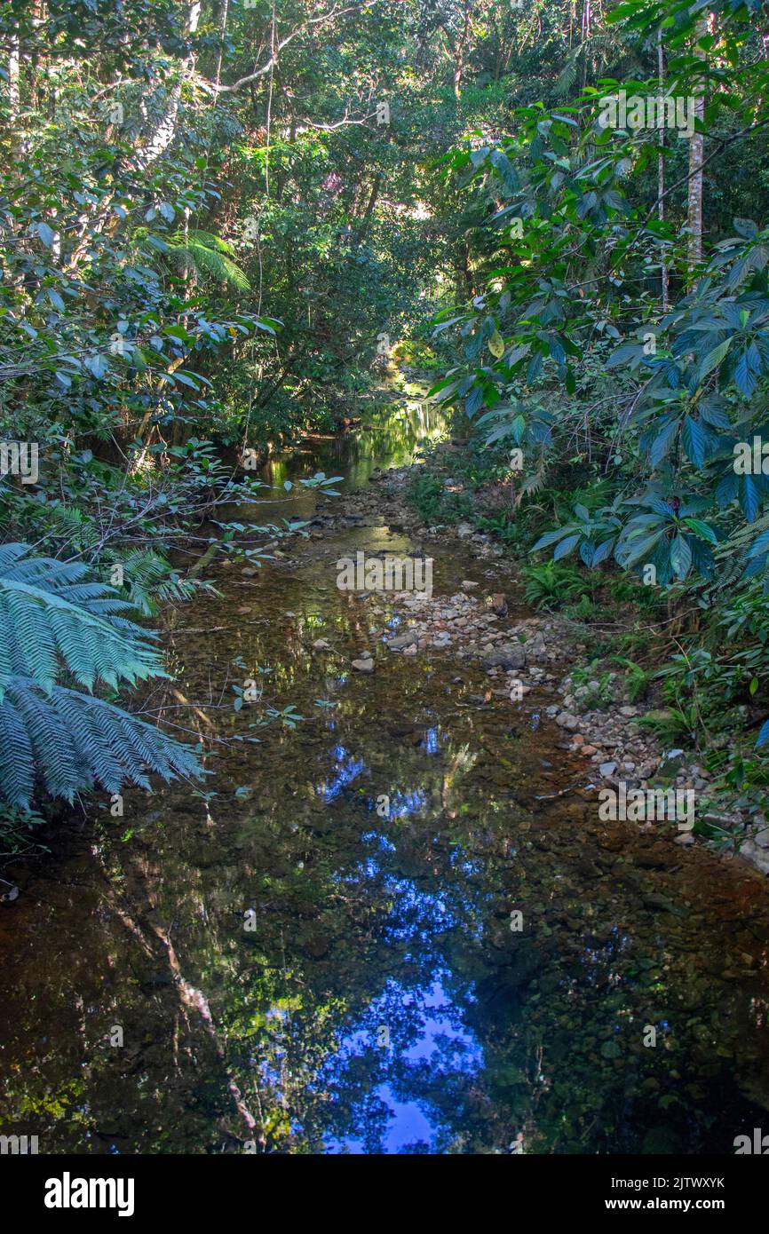 Birthday Creek, parc national de Paluma Range Banque D'Images