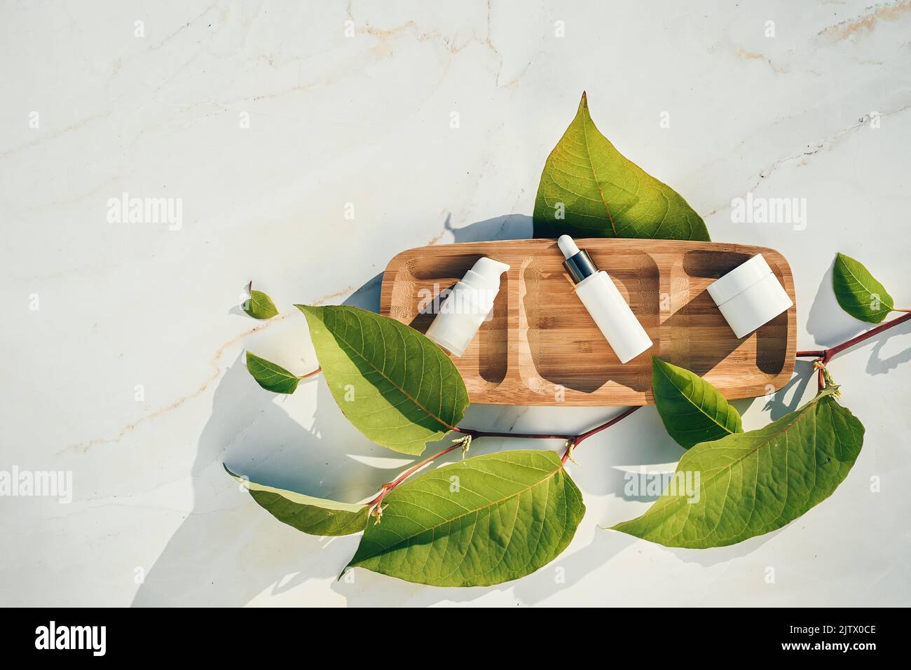 Maquettes blanches d'emballages cosmétiques et de plantes sur un plateau en bois avec des feuilles naturelles. Sérum, crème, lotion. Produit naturel de beauté et de soins de la peau confluent Banque D'Images