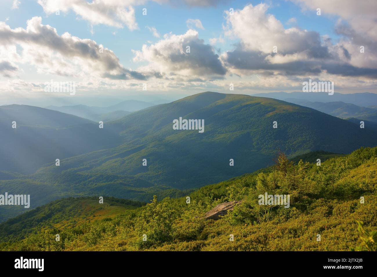 magnifique fond de nature en montagne. paysage vert en lumière du soir. vue sur la vallée éloignée Banque D'Images