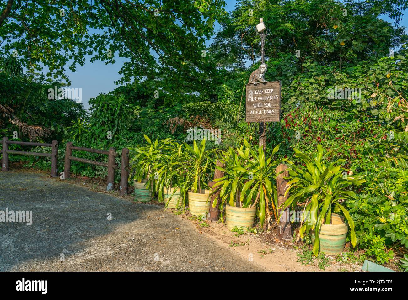 Singapour - 2 octobre, 2018: Panneau avertissant les golfeurs de garder vos objets de valeur avec vous, sinon les singes pourraient acier vous objets. Banque D'Images