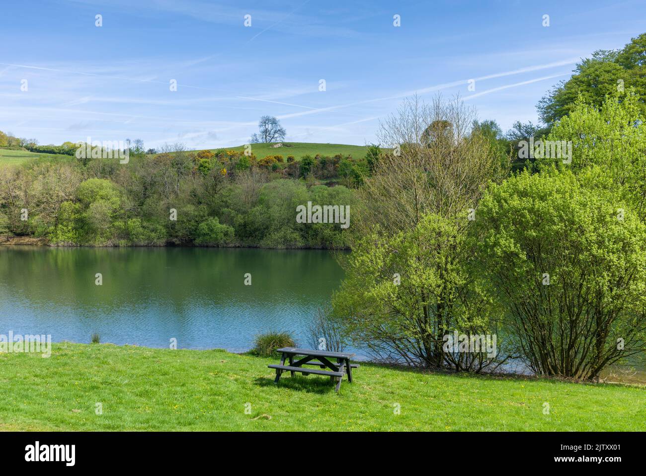 Une table de pique-nique à côté du réservoir Clatworthy au printemps sur les pentes sud des collines de Brendon, Somerset, Angleterre. Banque D'Images