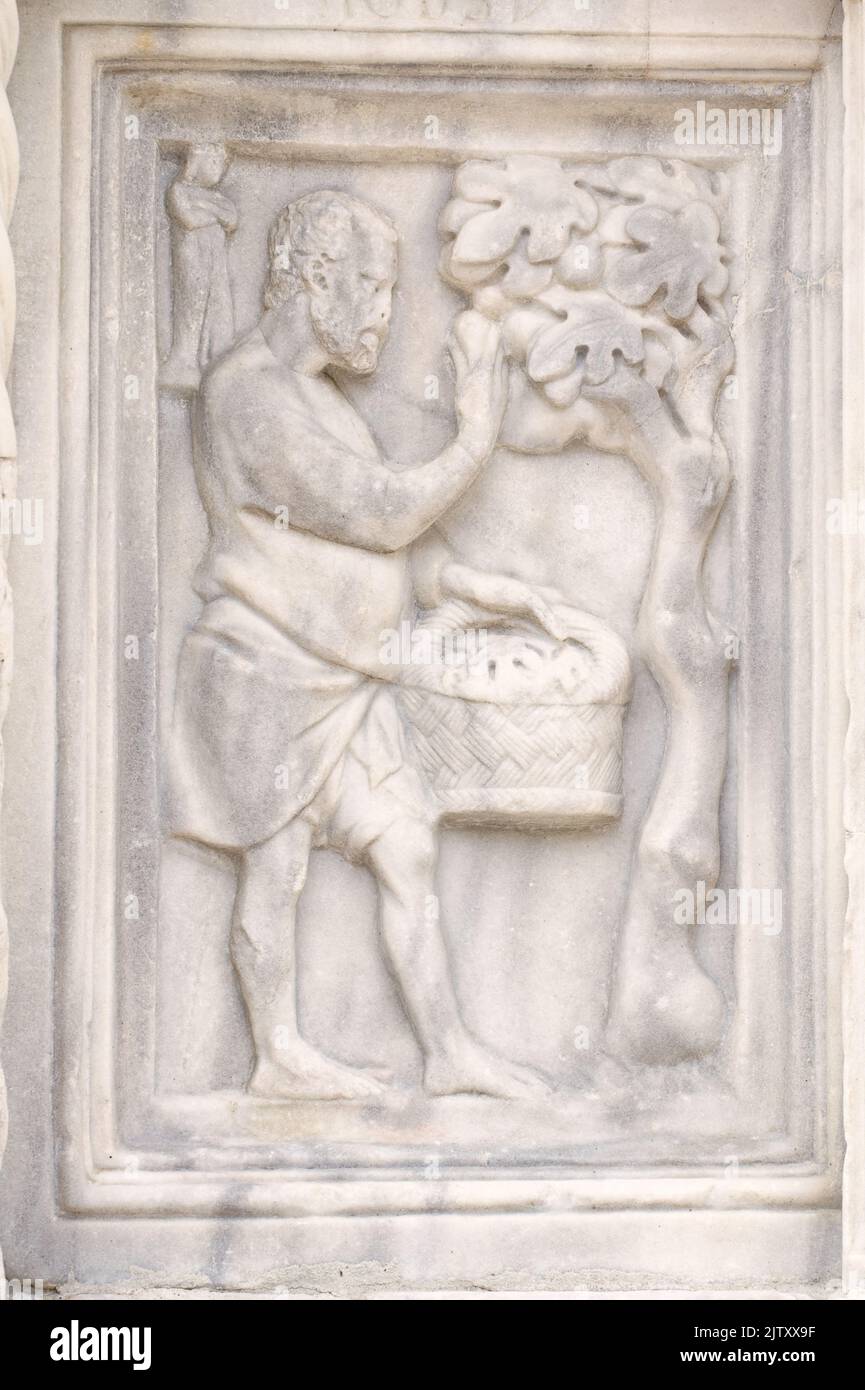 Août : la récolte de figues - détail de Fontana Maggiore (1275), un chef-d'œuvre de sculpture médiévale symbole de la ville de Pérouse - Italie Banque D'Images
