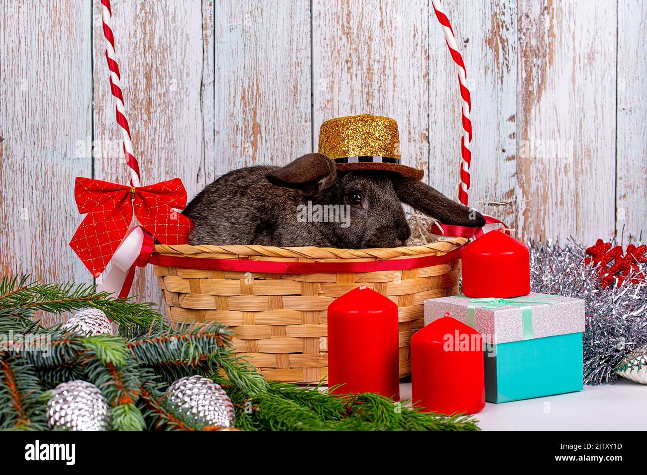 Un lapin noir du nouvel an dans un chapeau doré est placé dans un panier parmi les branches d'un sapin, les cadeaux et décorations du nouvel an, un symbole de l'année 20 Banque D'Images