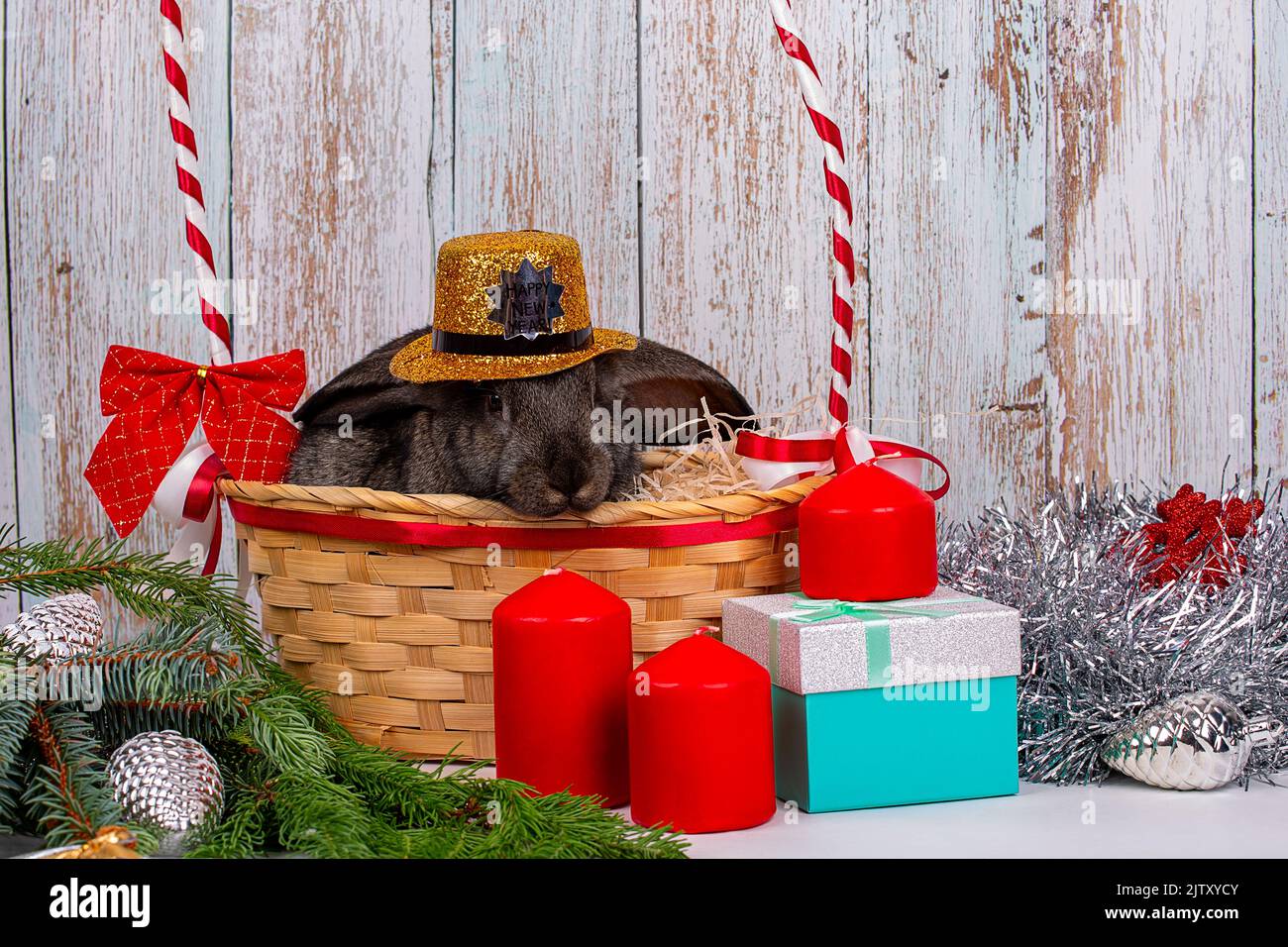 Un lapin noir du nouvel an dans un chapeau doré est placé dans un panier parmi les branches d'un sapin, les cadeaux et décorations du nouvel an, un symbole de l'année 20 Banque D'Images