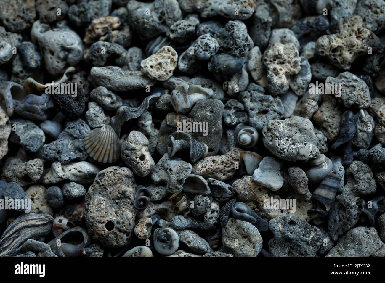 Belle couleur noire pierres de mer et coquillages abstrait motif texture nature fond concept, vacances d'été naturel fond concept. Banque D'Images