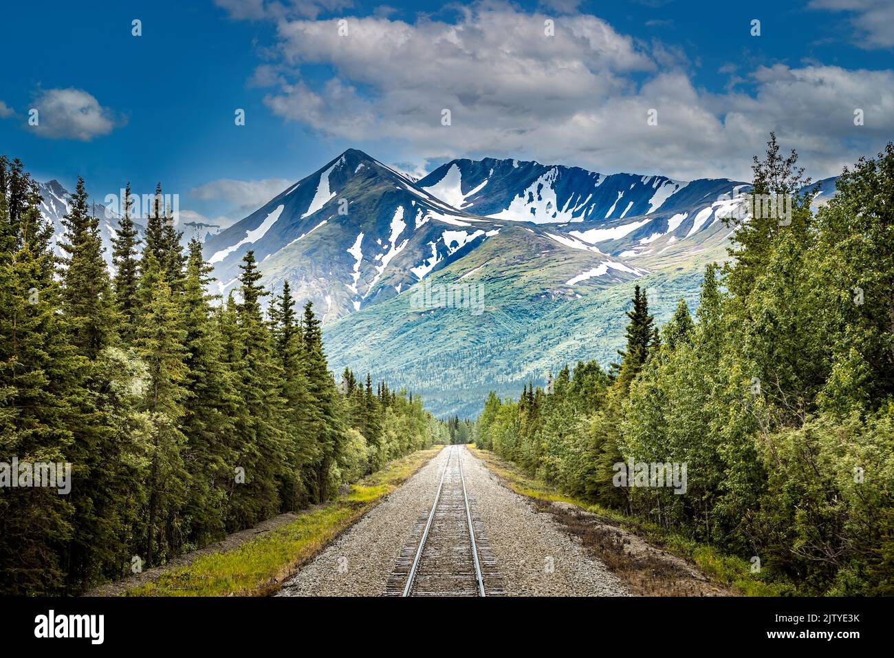 Chemin de fer vers le parc national Denali, Alaska avec des montagnes impressionnantes Banque D'Images
