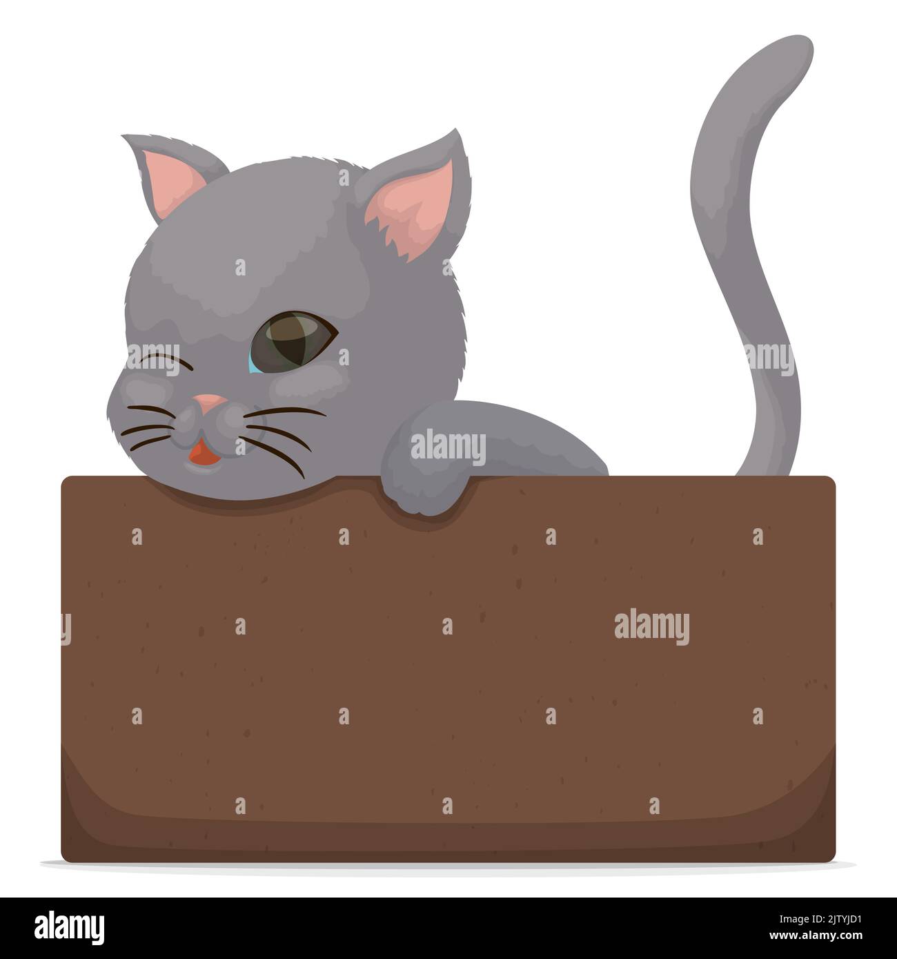 Un chaton gris affectueux aux yeux bleus, se tord à vous pendant qu'il attend à l'intérieur d'une boîte en carton. Illustration de Vecteur
