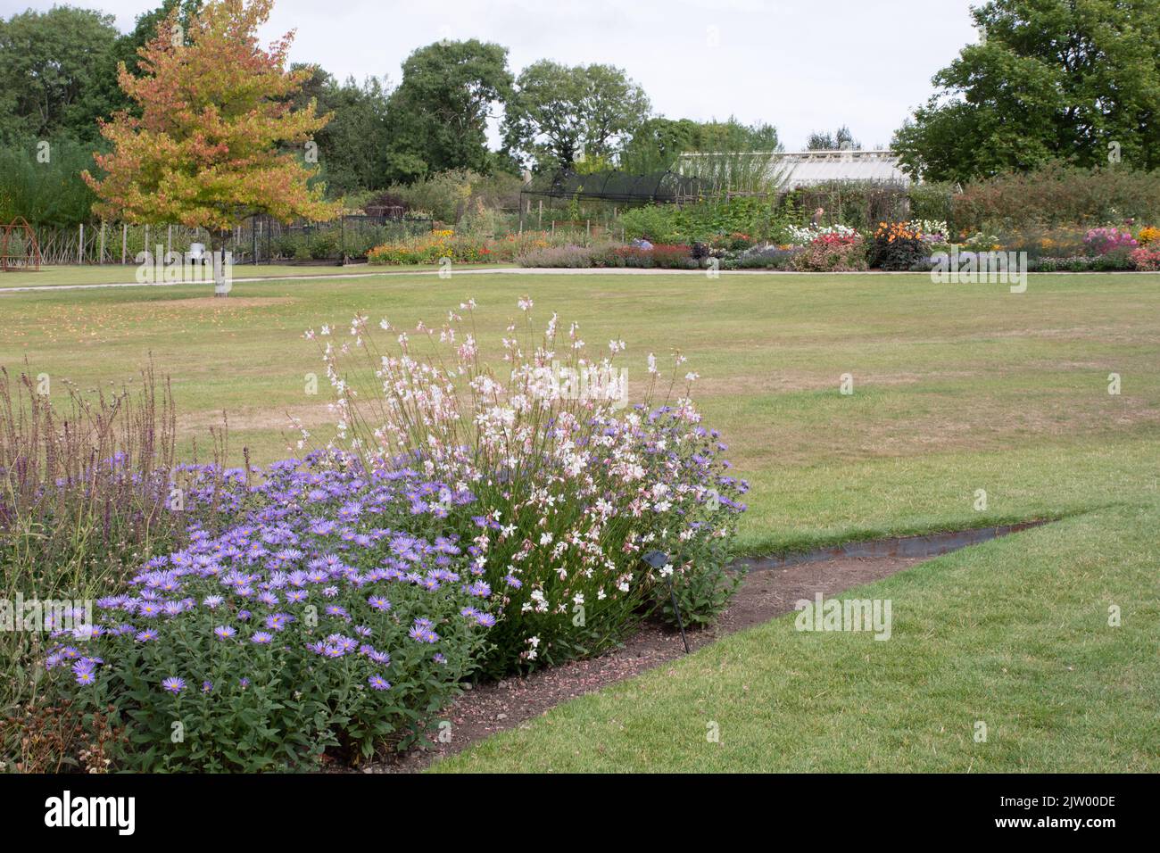 Island bed RHS Harlow Carr Banque D'Images