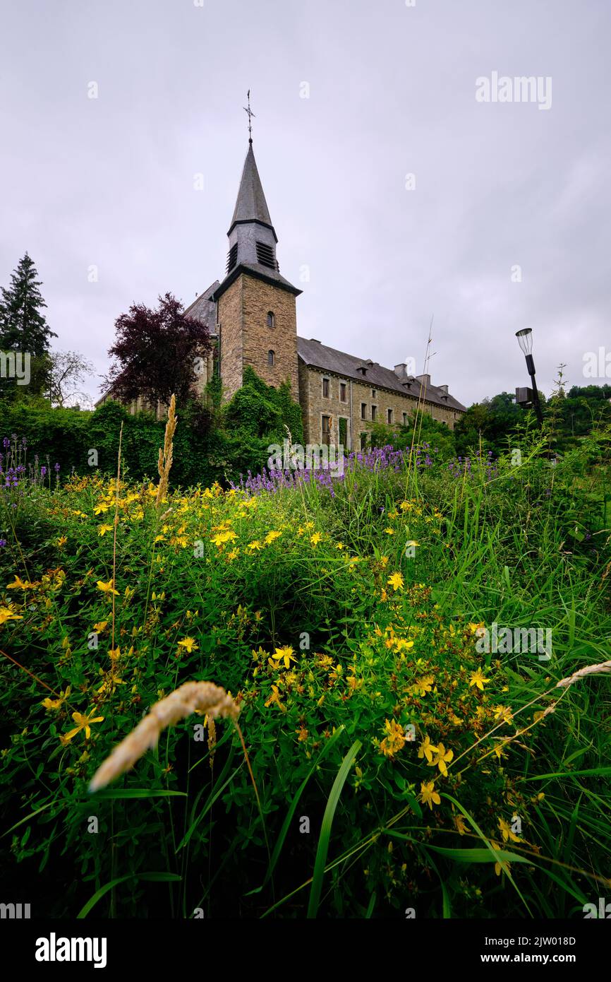 Vue sur l'église Sainte Catherine à Houffalize, province de Luxembourg, Belgique. Végétation luxuriante au premier plan Banque D'Images