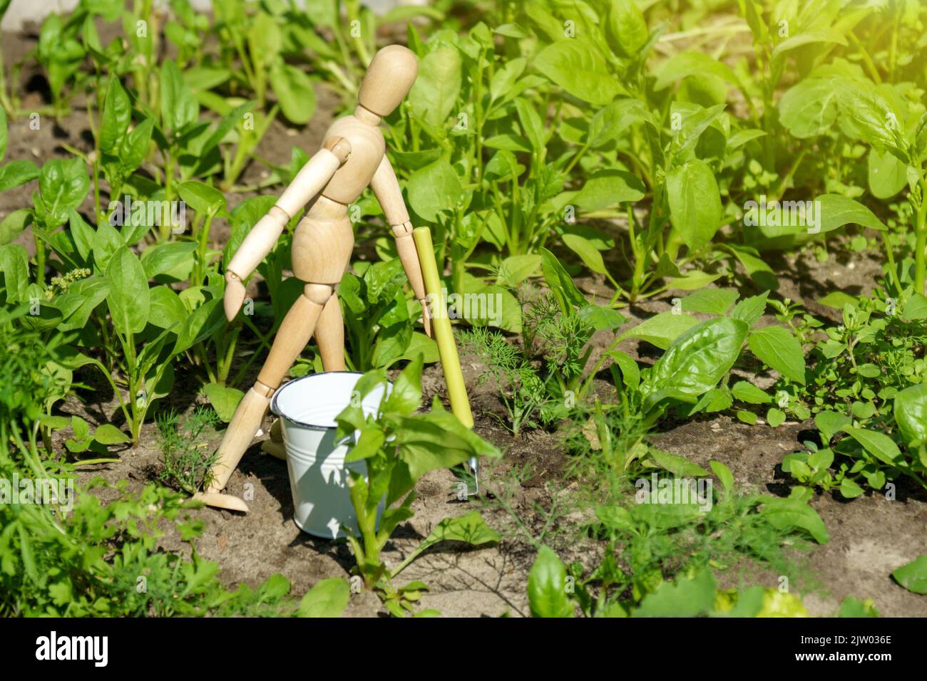 Le mannequin en bois de jardinier travaille dans le jardin. Concept de jardinage à la maison et de culture de plantes. Mise au point sélective Banque D'Images