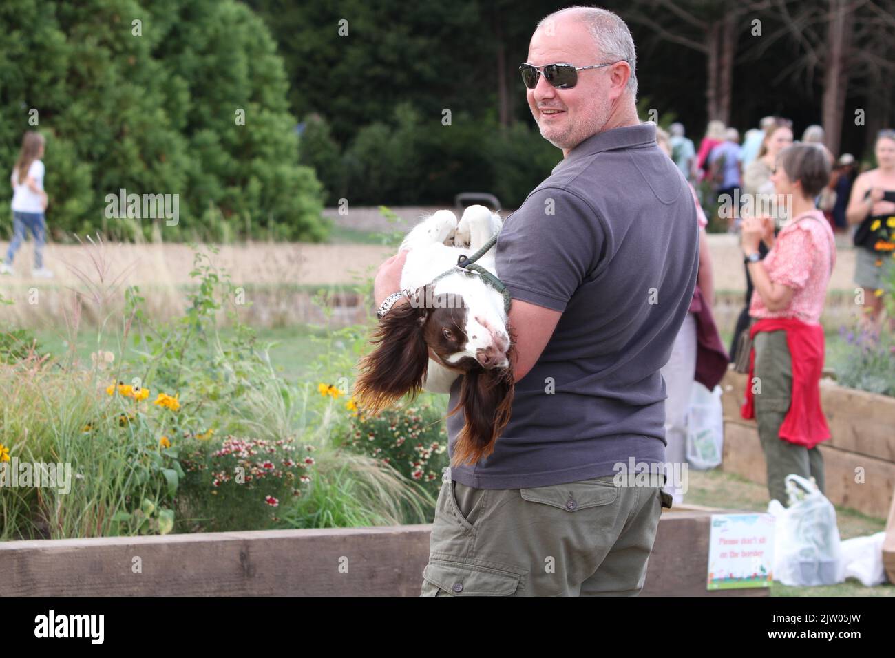 Safran Walden, Royaume-Uni. 02nd septembre 2022. La toute première foire mondiale d'automne des jardiniers de la BBC a lieu à Audley End House, dans l'Essex. Un chien très bien refroidi qui apprécie l'événement. Crédit : Eastern Views/Alamy Live News Banque D'Images