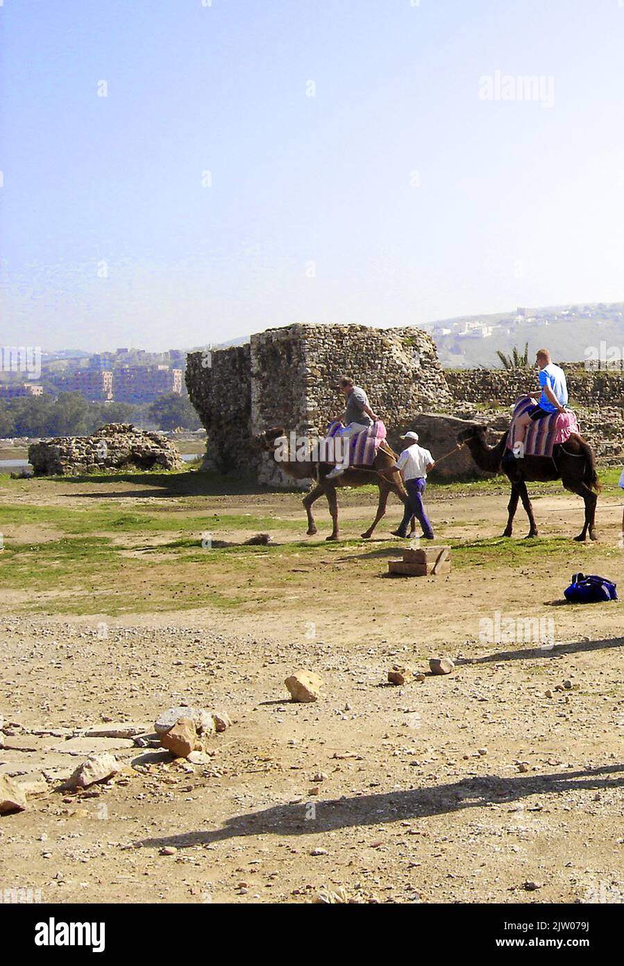 2005 photographie - MAROC - touristes prenant une balade à dos de chameau à TANGER, Afrique du Nord - ---- MAROC - touristes ayant un ballade à dos de chameau à TANGER, ---- المغرب - السياح الذين يركبون الجمال في طنجة , ------- MARRUECOS - Turistas dando un paseo en camello en TÁNGER Banque D'Images