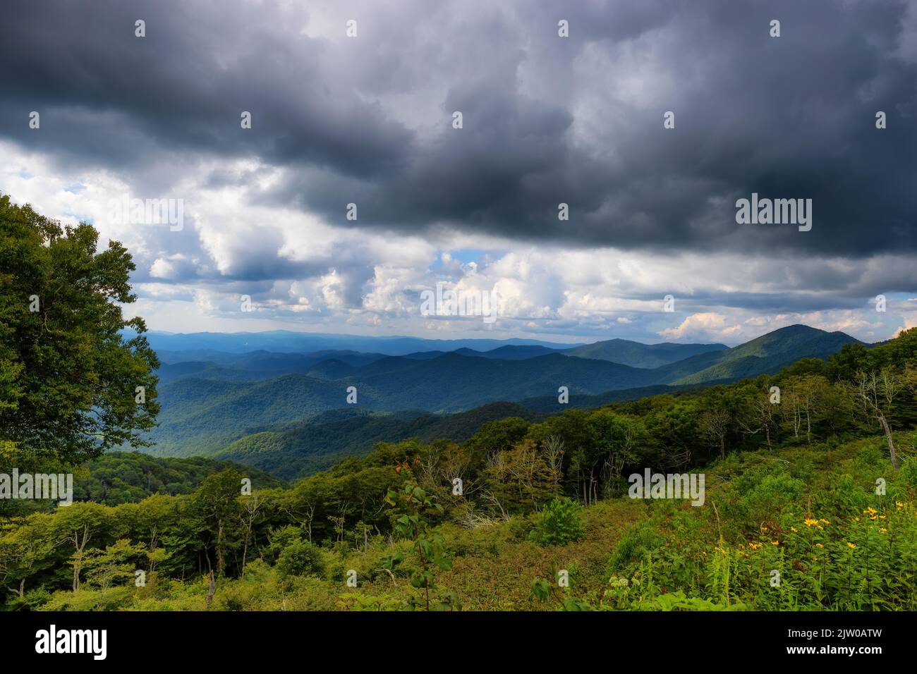 Des vues panoramiques à couper le souffle sur les Blue Ridge Mountains tandis que l'on voyage sur Blue Ridge Parkway en Caroline du Nord, aux États-Unis. Banque D'Images