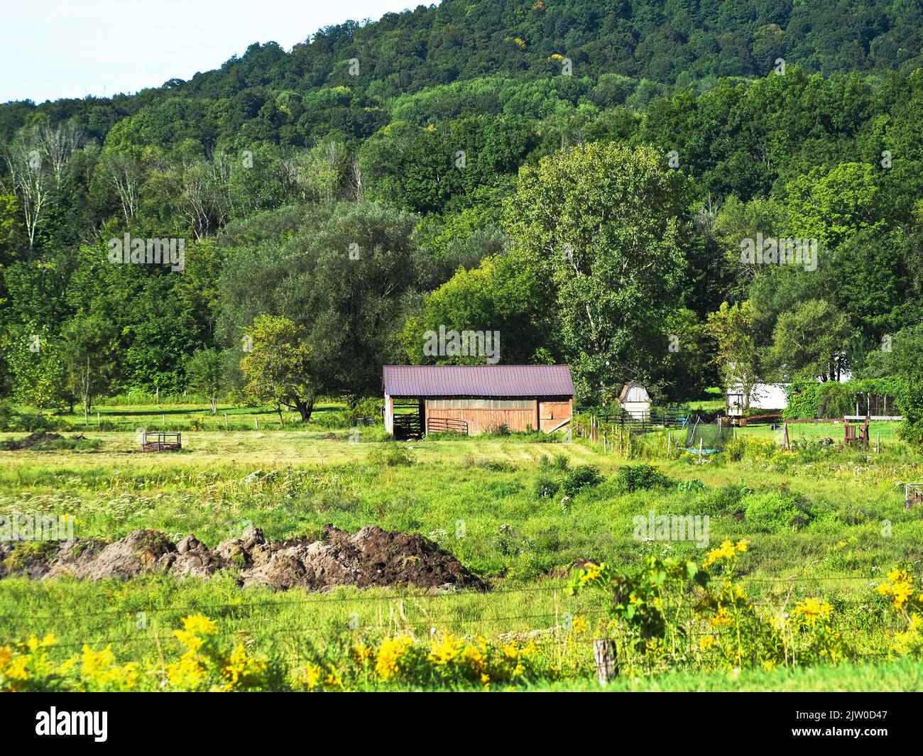 Ferme de campagne dans le parc national d'Adirondack, New York Banque D'Images