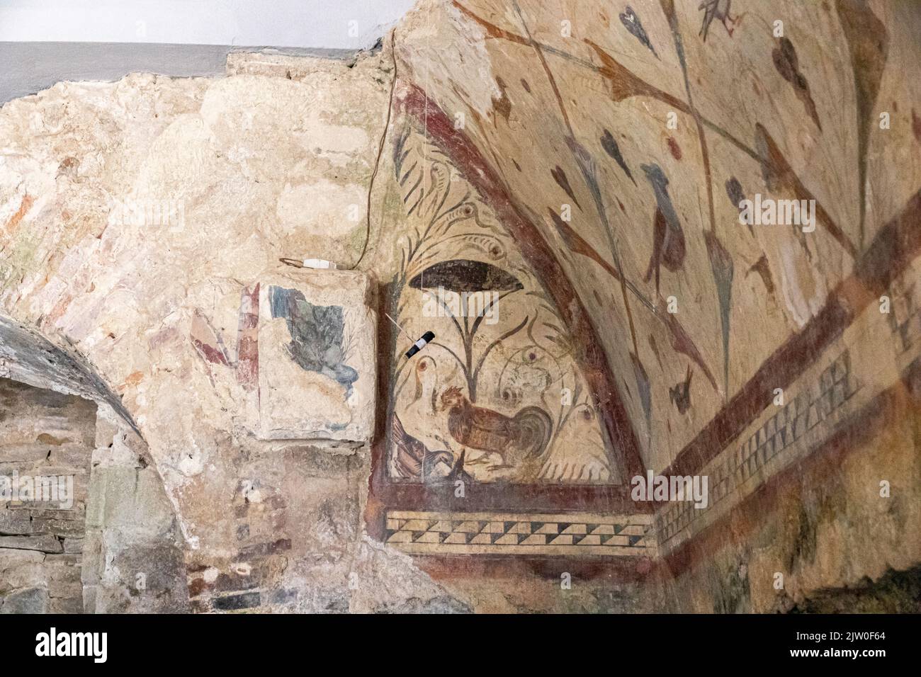 Boveda de Mera, Espagne. Le temple romain de Santalla ou Santa Eulalia, dédié à la déesse Cybele. Fresques d'oiseaux Banque D'Images