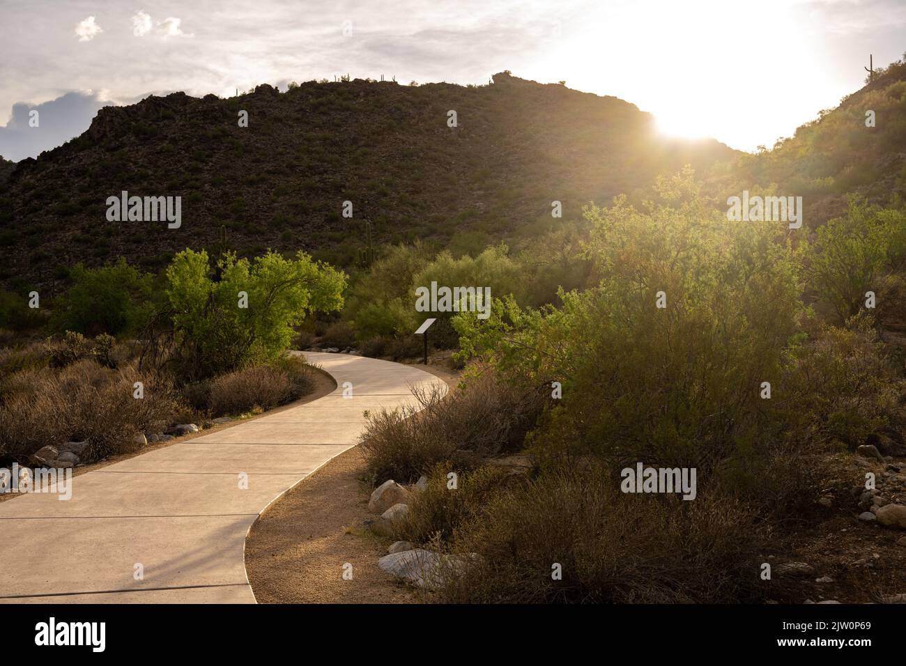 Sentier en cascade au coucher du soleil dans le parc régional de White Tank Mountain à Phoenix, Arizona Banque D'Images
